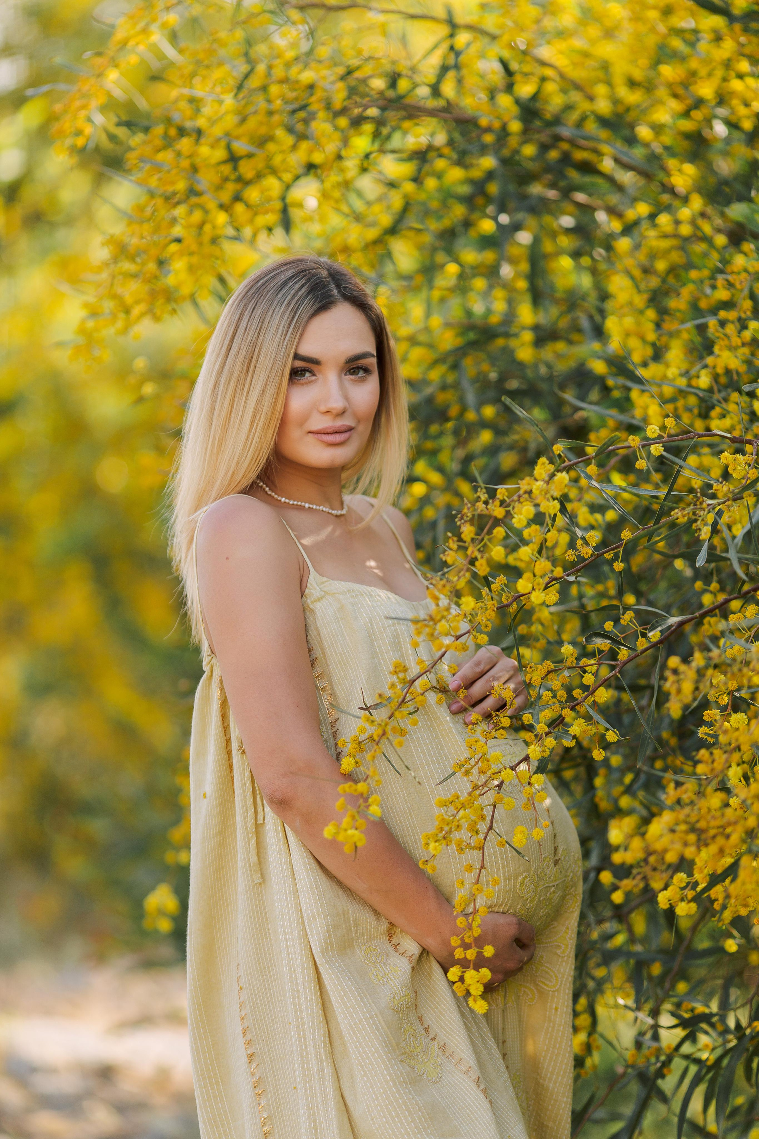 Photo shoot of the unique beauty of yellow mimosa trees. Professional Photographer in Alanya, Side, Belek, Antalya. Turkiye