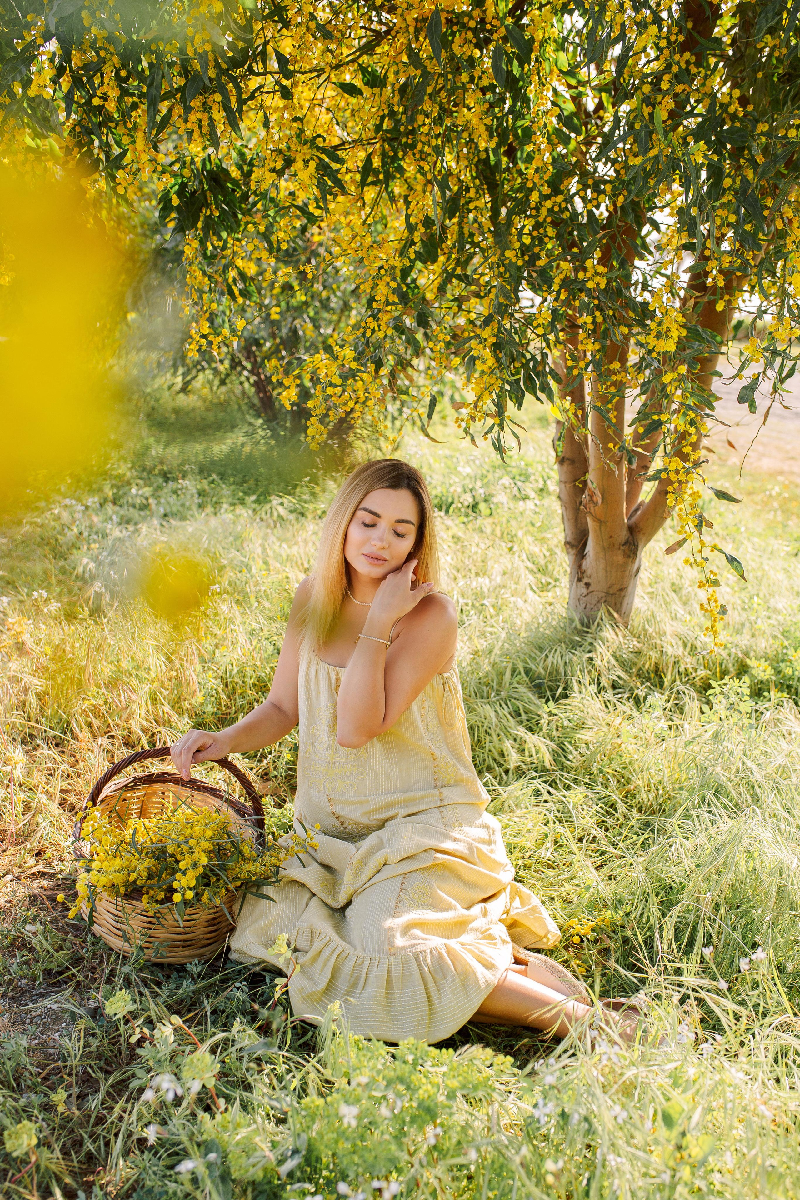 Photo shoot of the unique beauty of yellow mimosa trees. Professional Photographer in Alanya, Side, Belek, Antalya. Turkiye