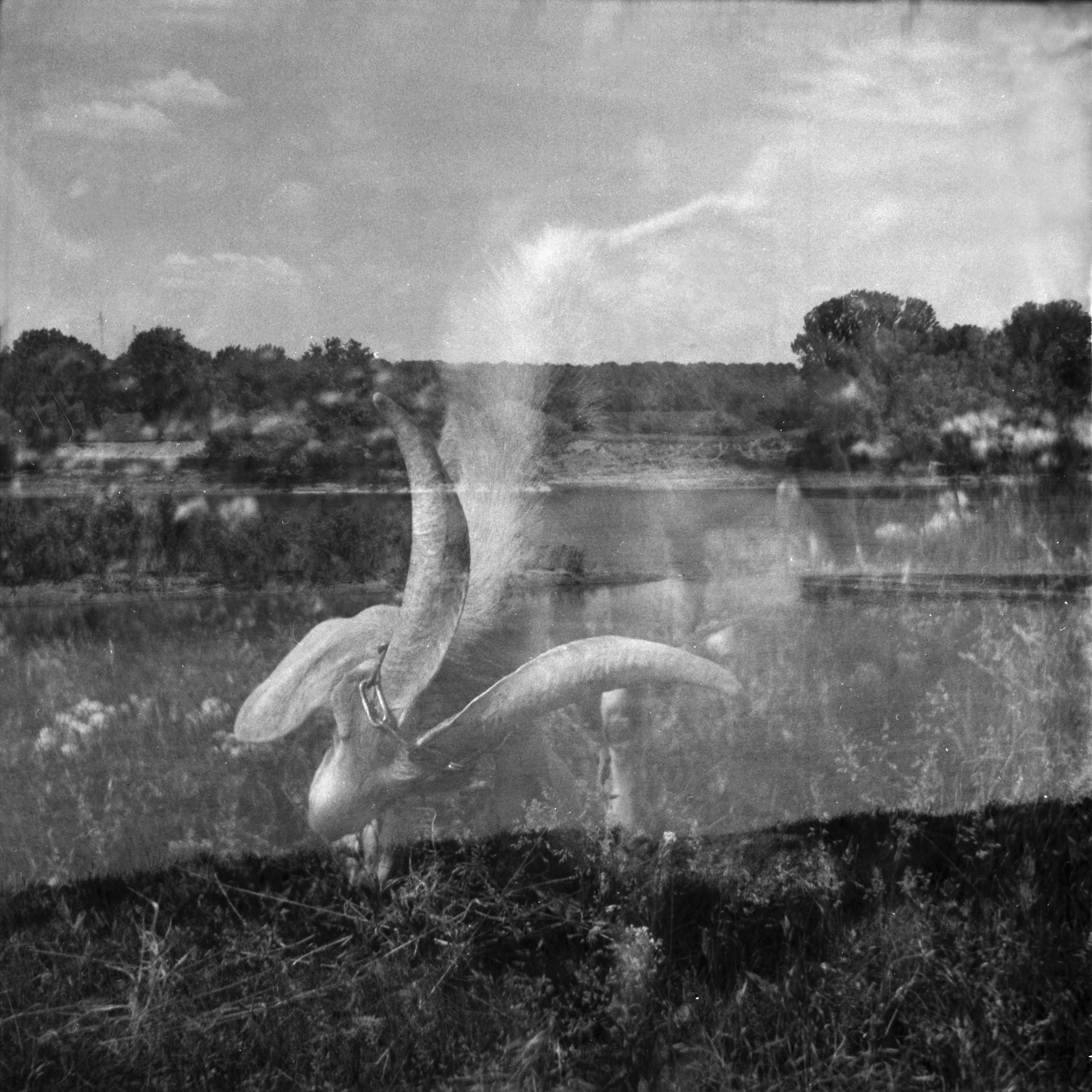 Tender Infinite Souls. Natalia Parfenova visual artist film photographer