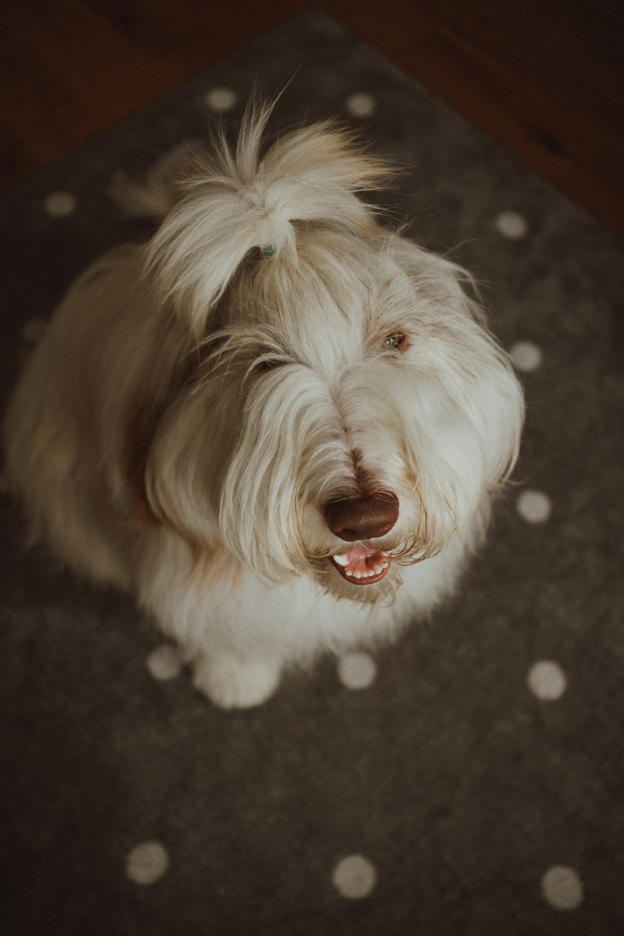 NATALIIA NIKITA ALISA. Fotograf Mykhalchuk Inna Kraków