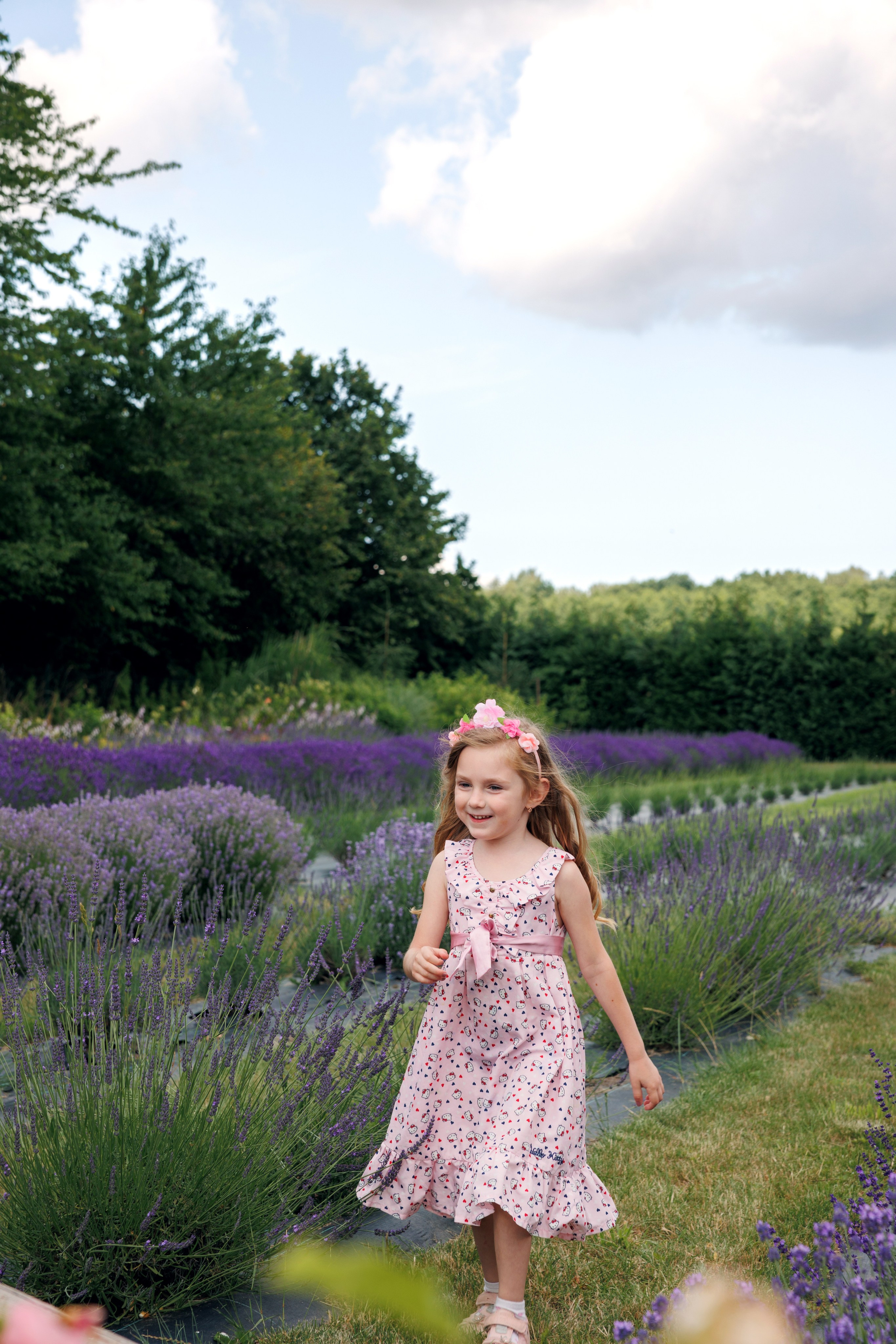 Lawenda. Anna Rudnichenko Fotograf Szczecin / Анна Рудніченко Фотограф Щецин