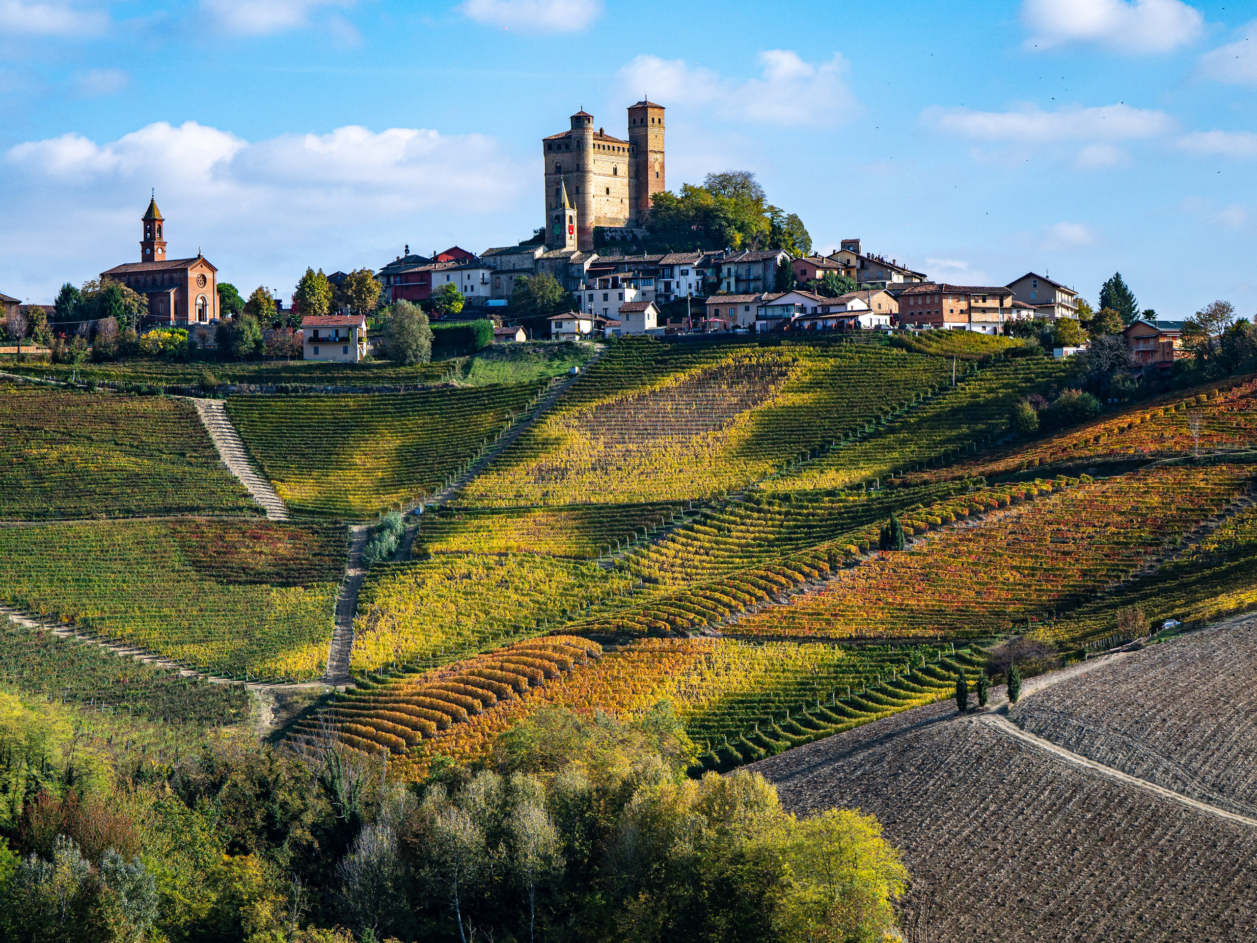 Cantine Boasso Serralunga. “Gianmaria Coscia fotografo per passione”