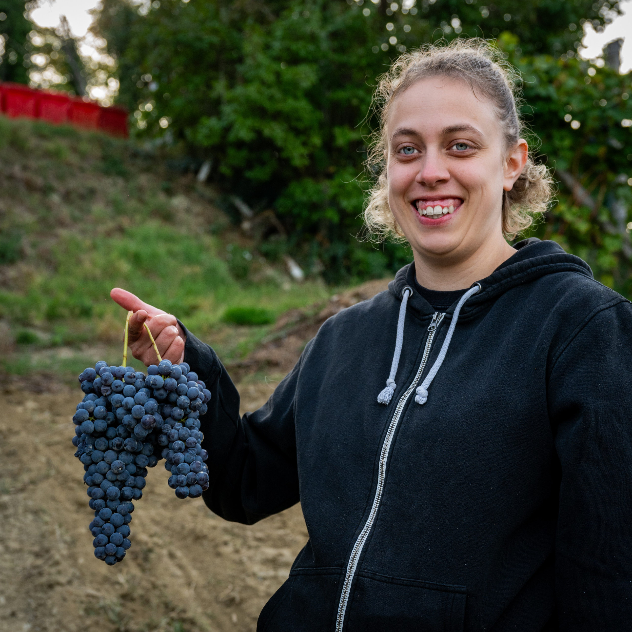 Cantine Boasso Serralunga. “Gianmaria Coscia fotografo per passione”