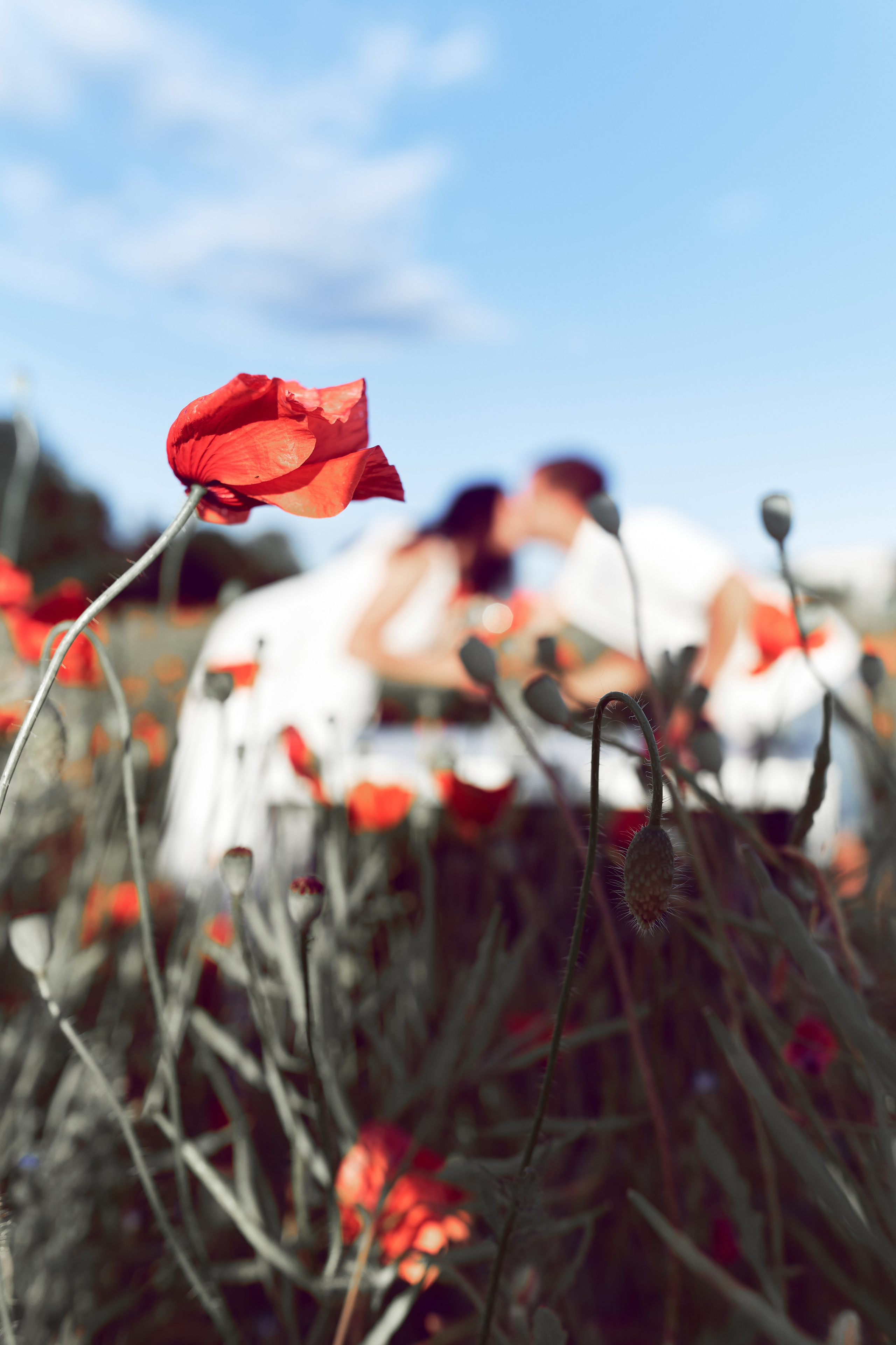 Portrait photographer in Riga. Photographer in Doha, Qatar