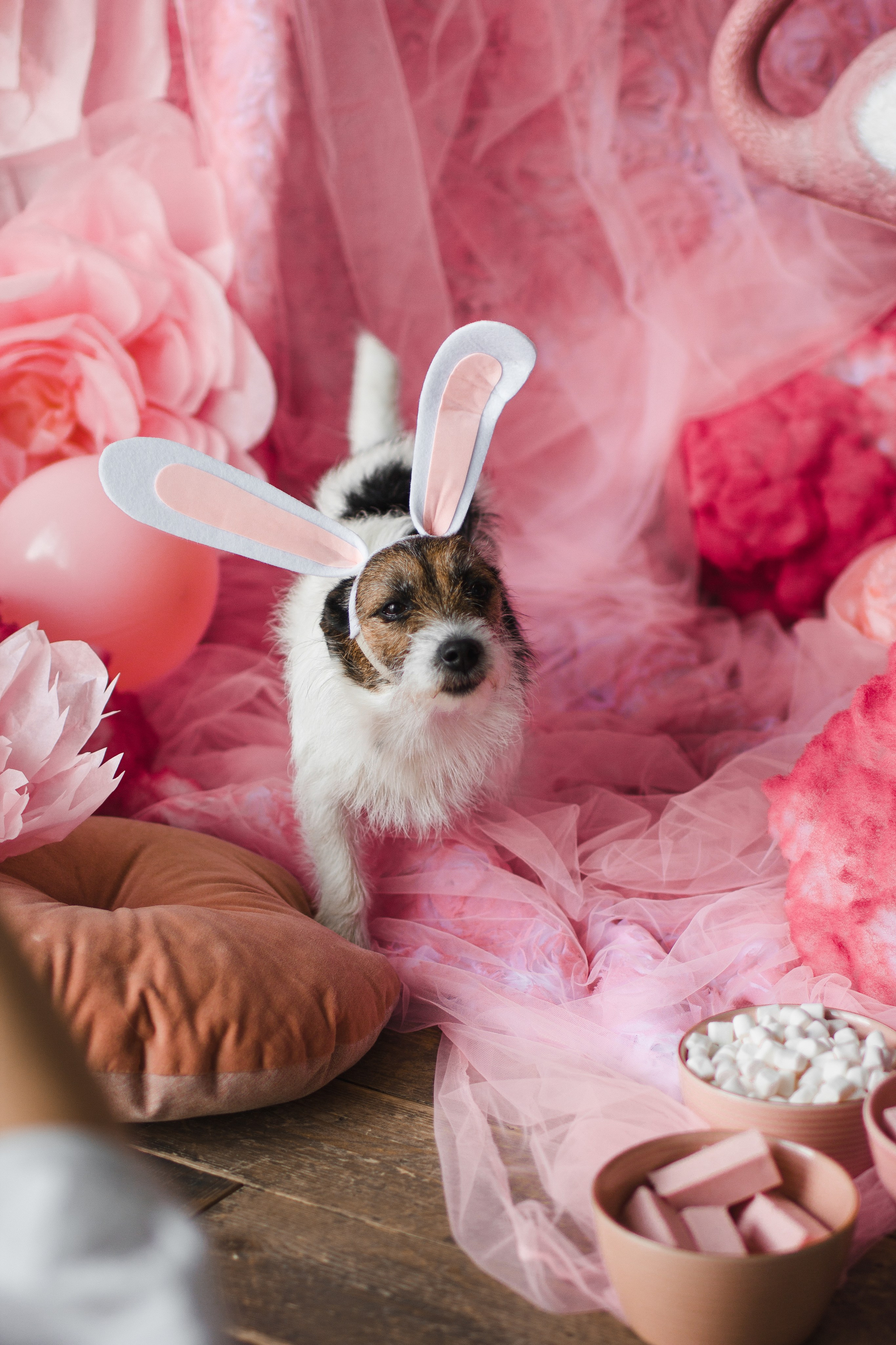 OH LA LA decoration studio. Photographer Vladmir Gladkov