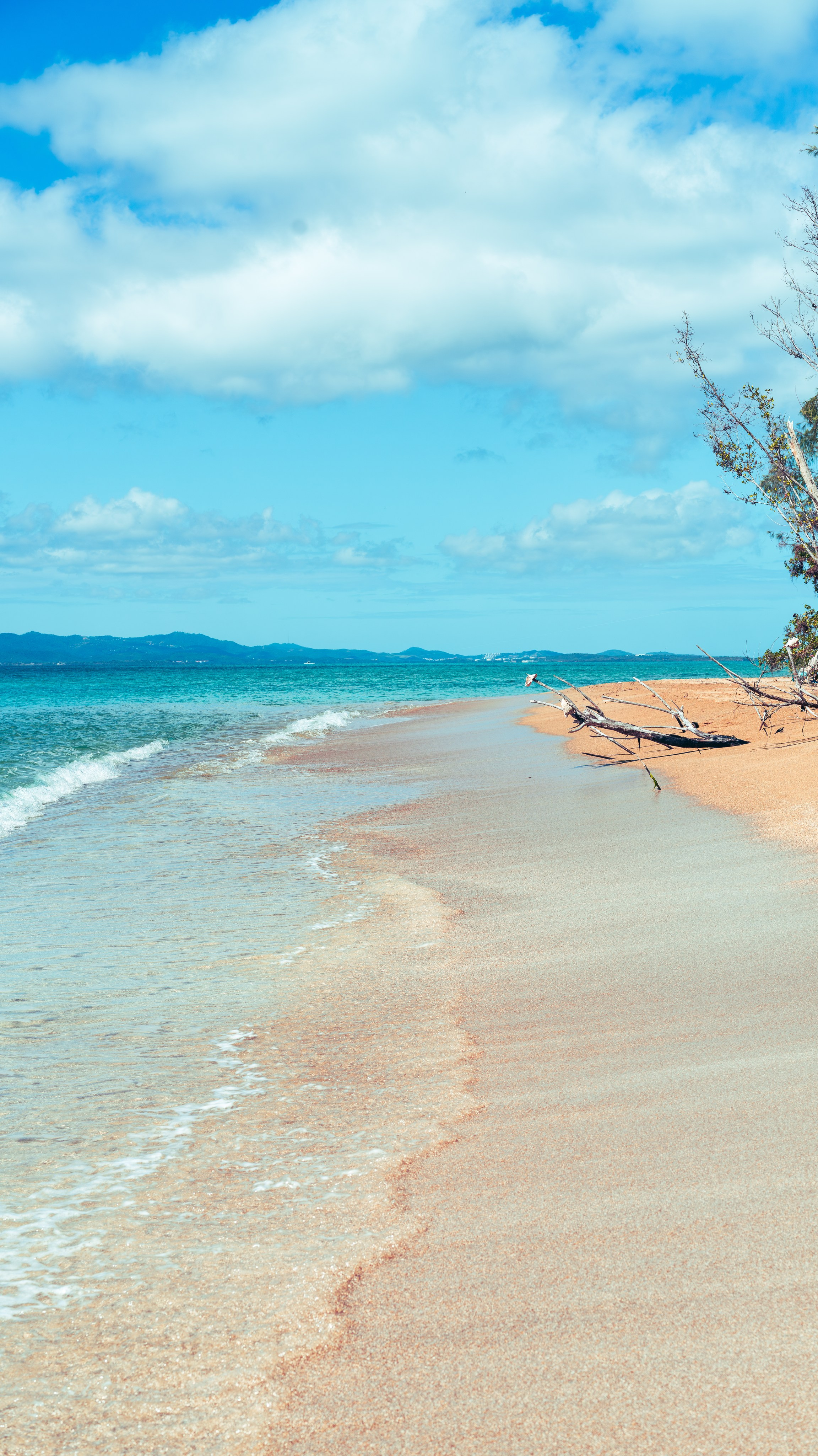 Natural Light. Manny Cruzado Photography