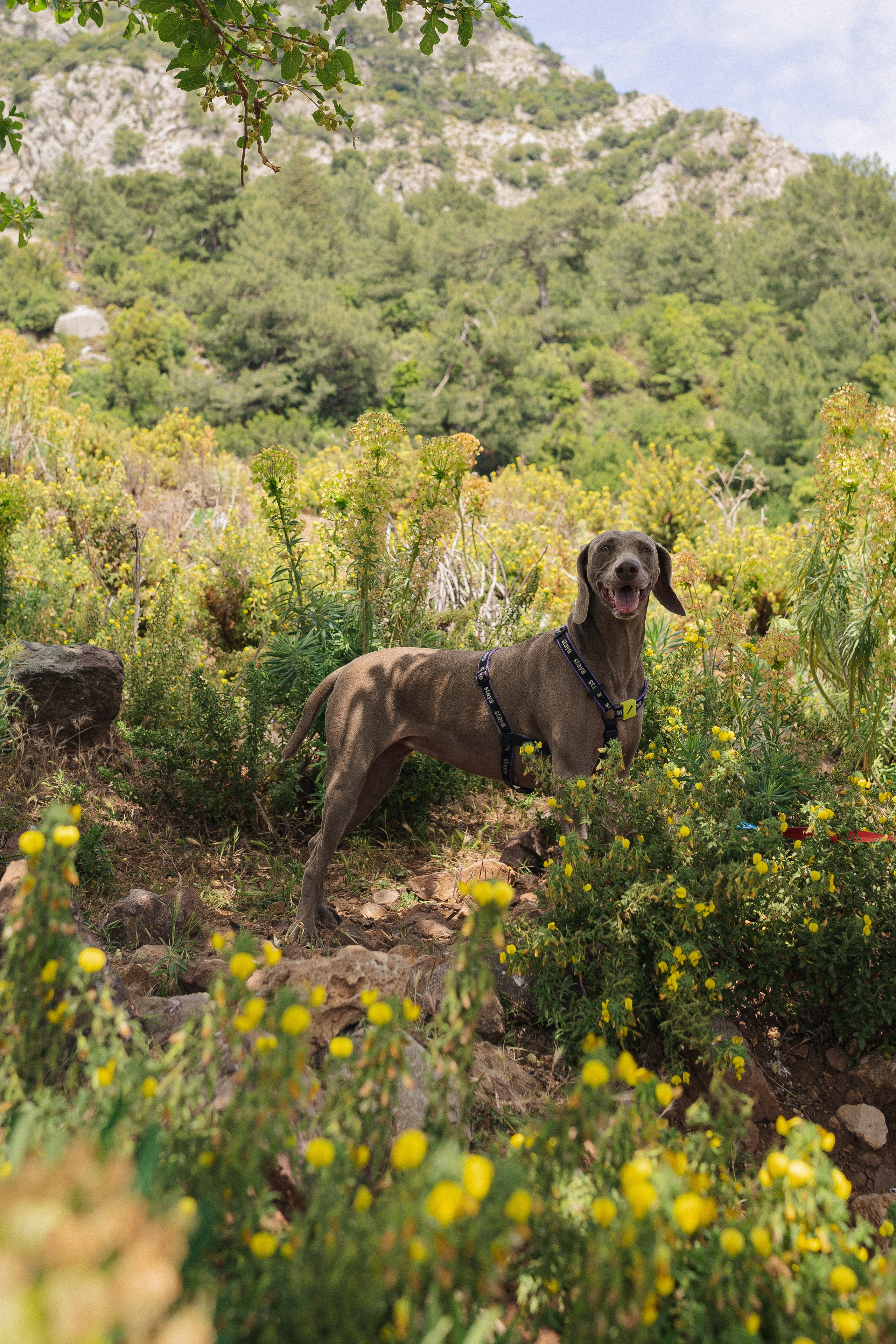 Хайкинг Ликийская тропа. Фотограф Москва Ларина Юлия