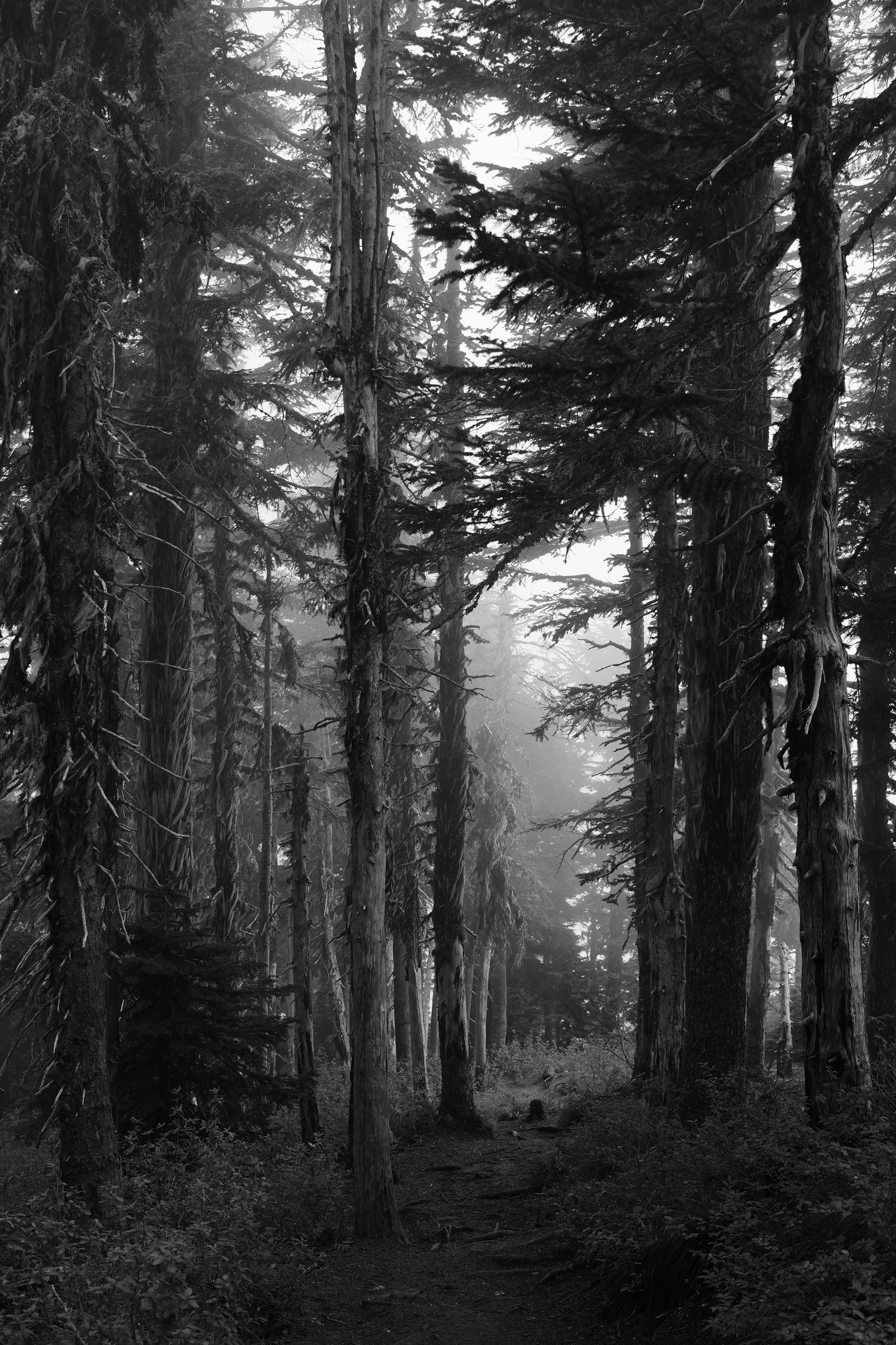 Photographer New York / Los Angeles