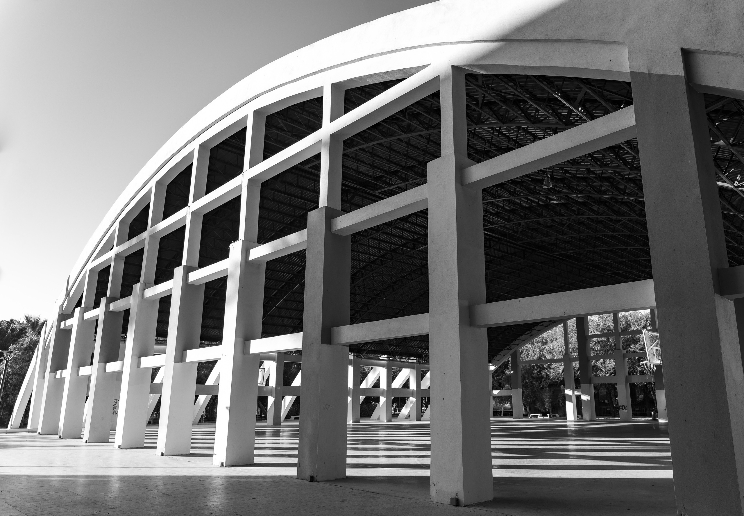 TURKEY & NATURE. UNRATED PHOTO