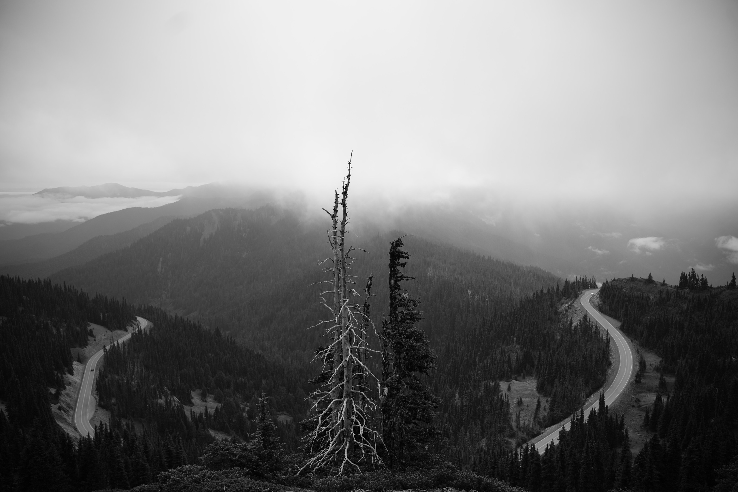 Photographer New York / Los Angeles