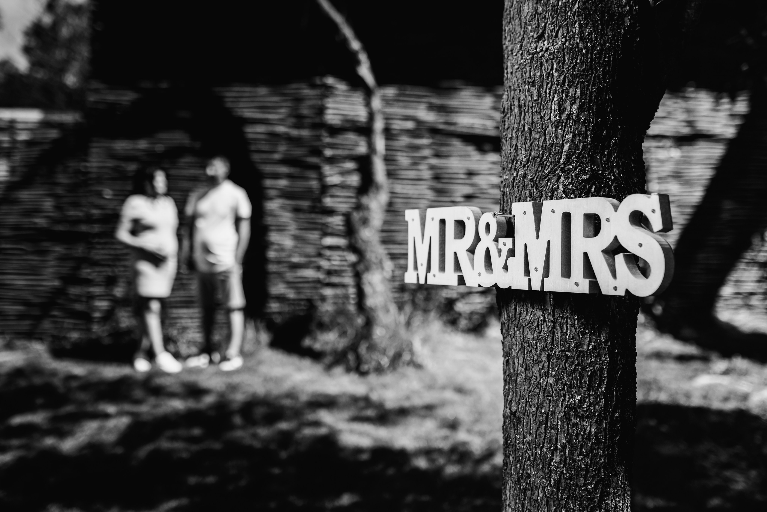 Save the date cu burtica — Alexandra & Sergiu. Giani Maftei