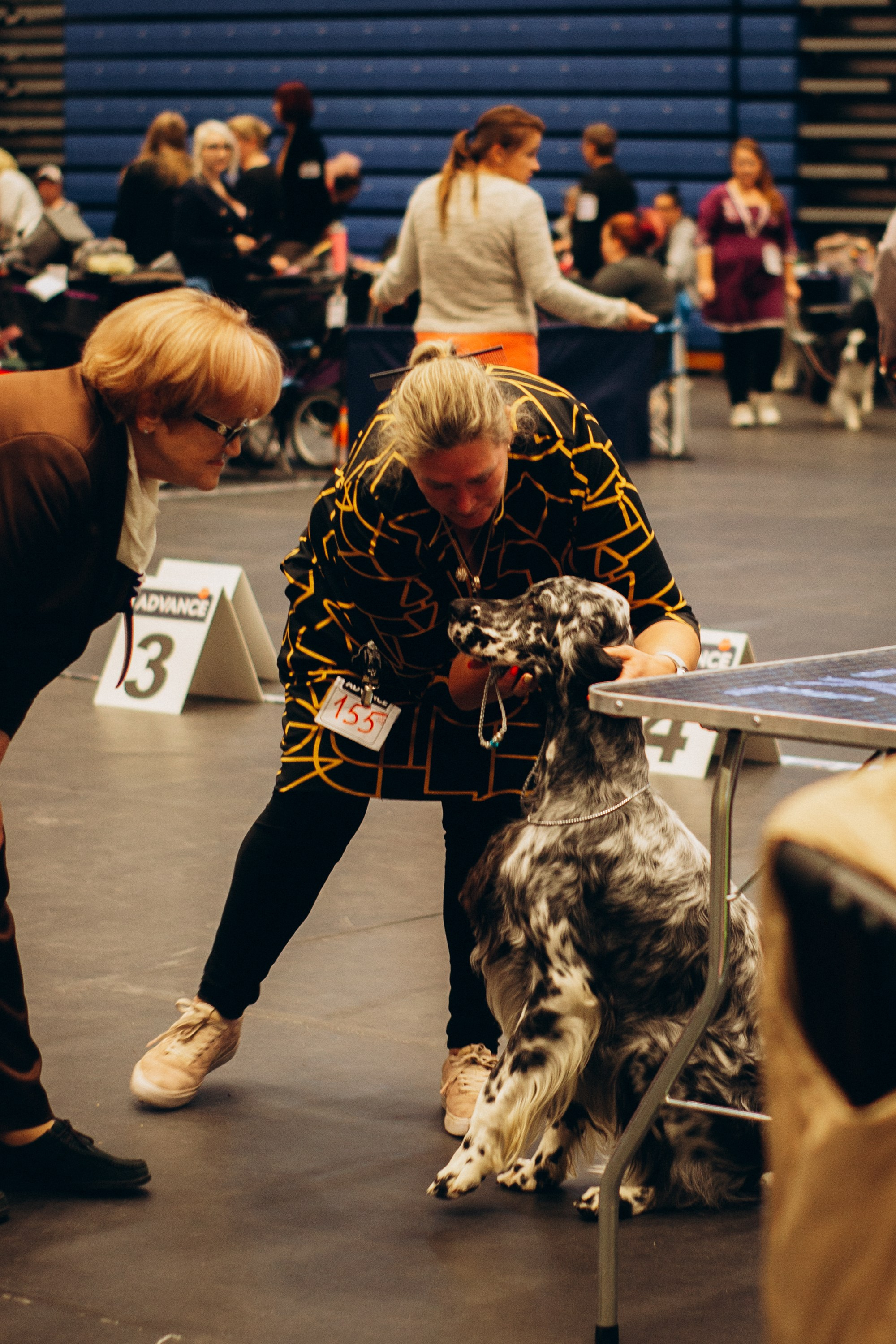 Rakvere Dog Show. Kat Laisaar — Pet photographer in Tallinn