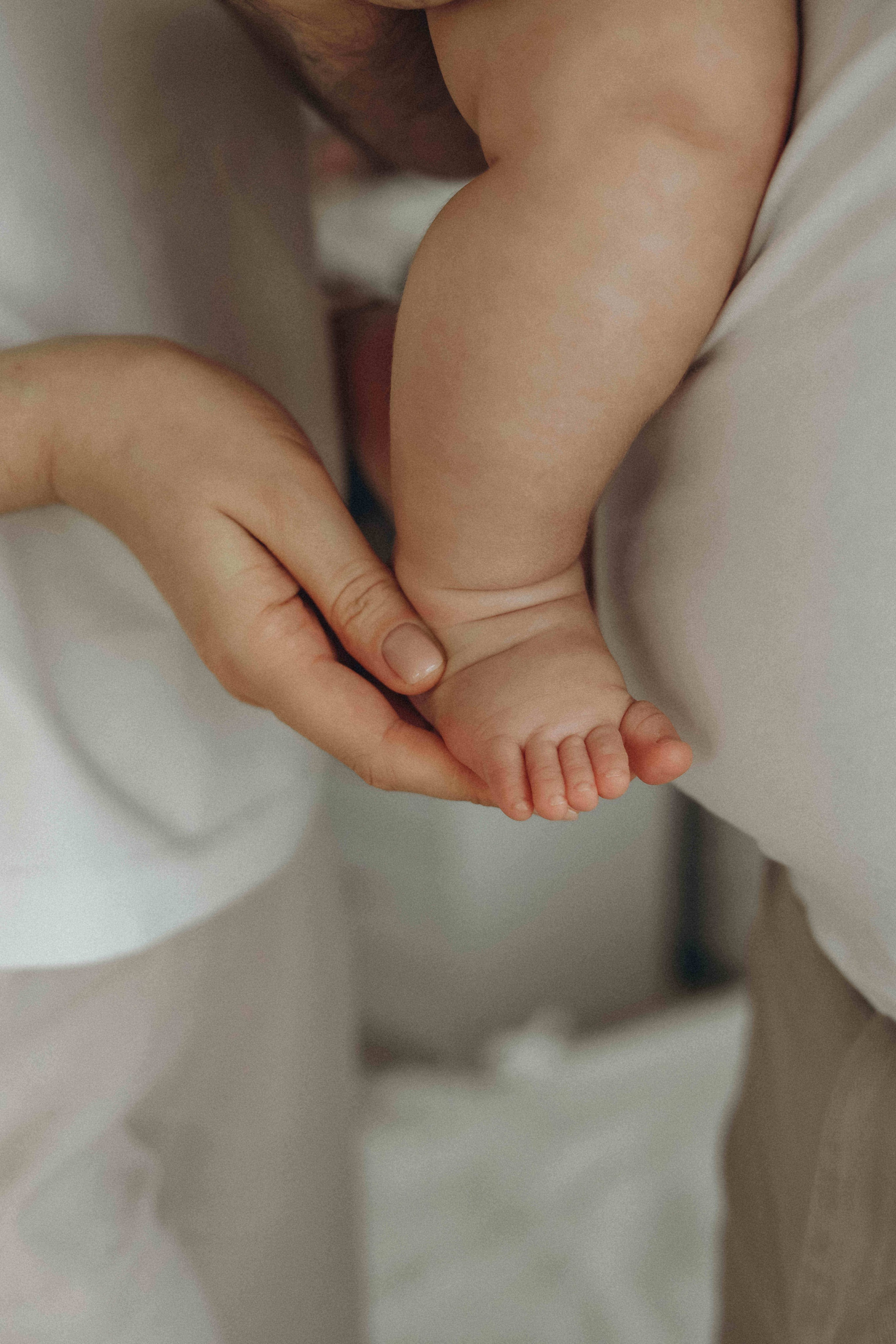 Olivia 6 mnths. Newborn, Maternity & Family Photographer in Charlotte, North Carolina | Arhipova Julia