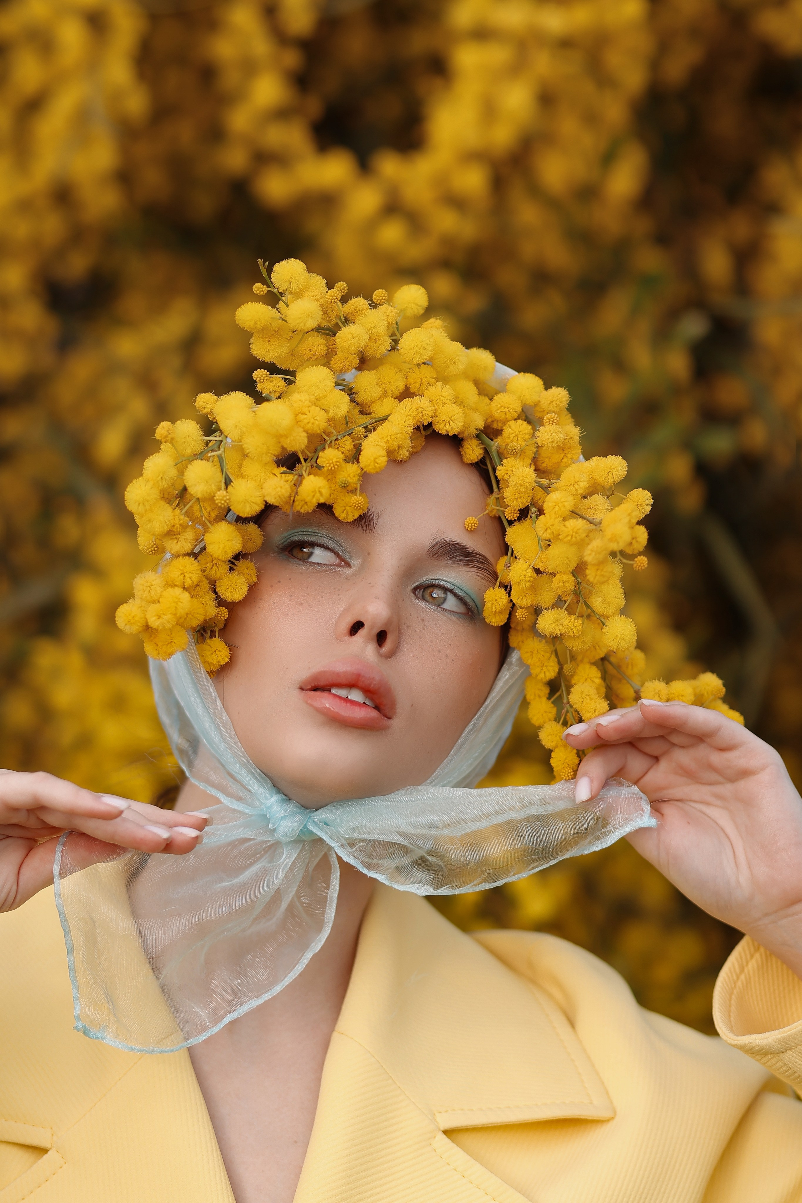 Цветение мимозы в Турции. Фотосессия в мимозе. Фотосессия с мимозой. Фотограф в Турции. Что сейчас цветет в Турции. Что сейчас цветет в Аланьи. Что цветет в апреле в анталии. Фотограф Алания турция. Мимоза в Турции. Цветение в Турции. Турецкая мимоза . Мимоза турция. 