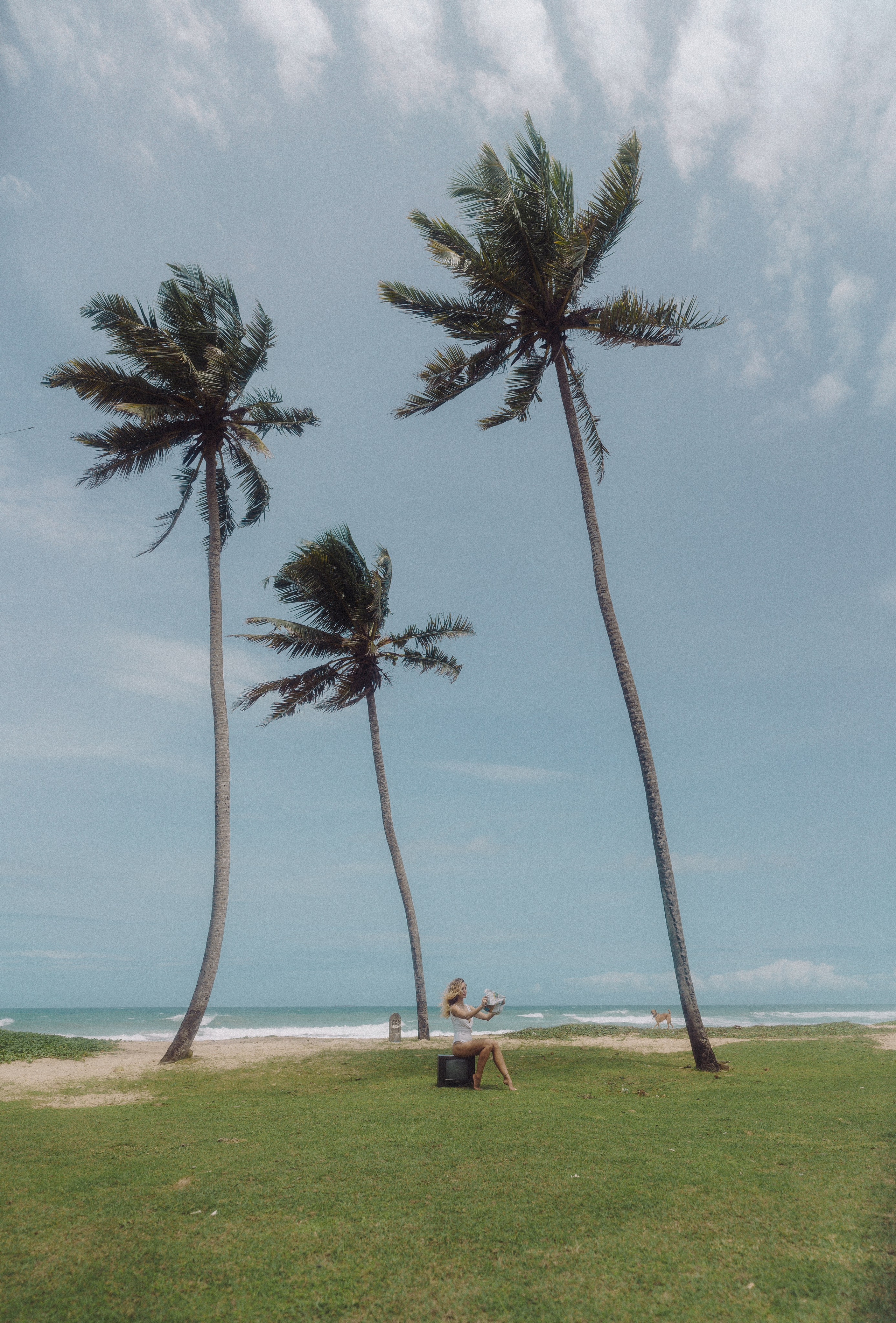 Portrait. Photographer and videographer for business in Tbilisi Catrine Poznyak