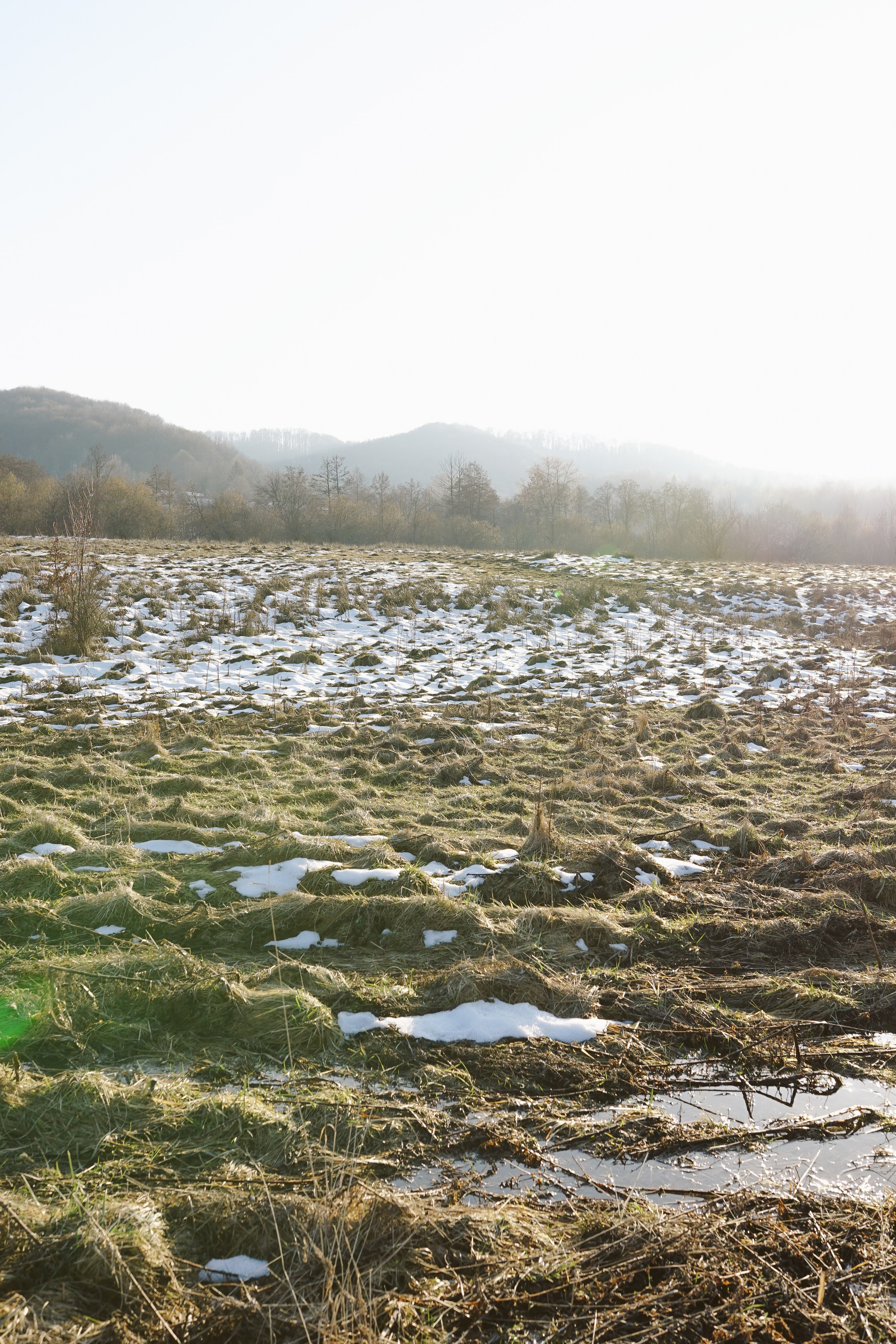 Mărțișorul x Mes Amis: O Poveste de Primăvară | Mădălina Beda. Madalina Beda- Artist vizual, fotograf, doula la nastere, consultant babywearing Brasov si in toata tara