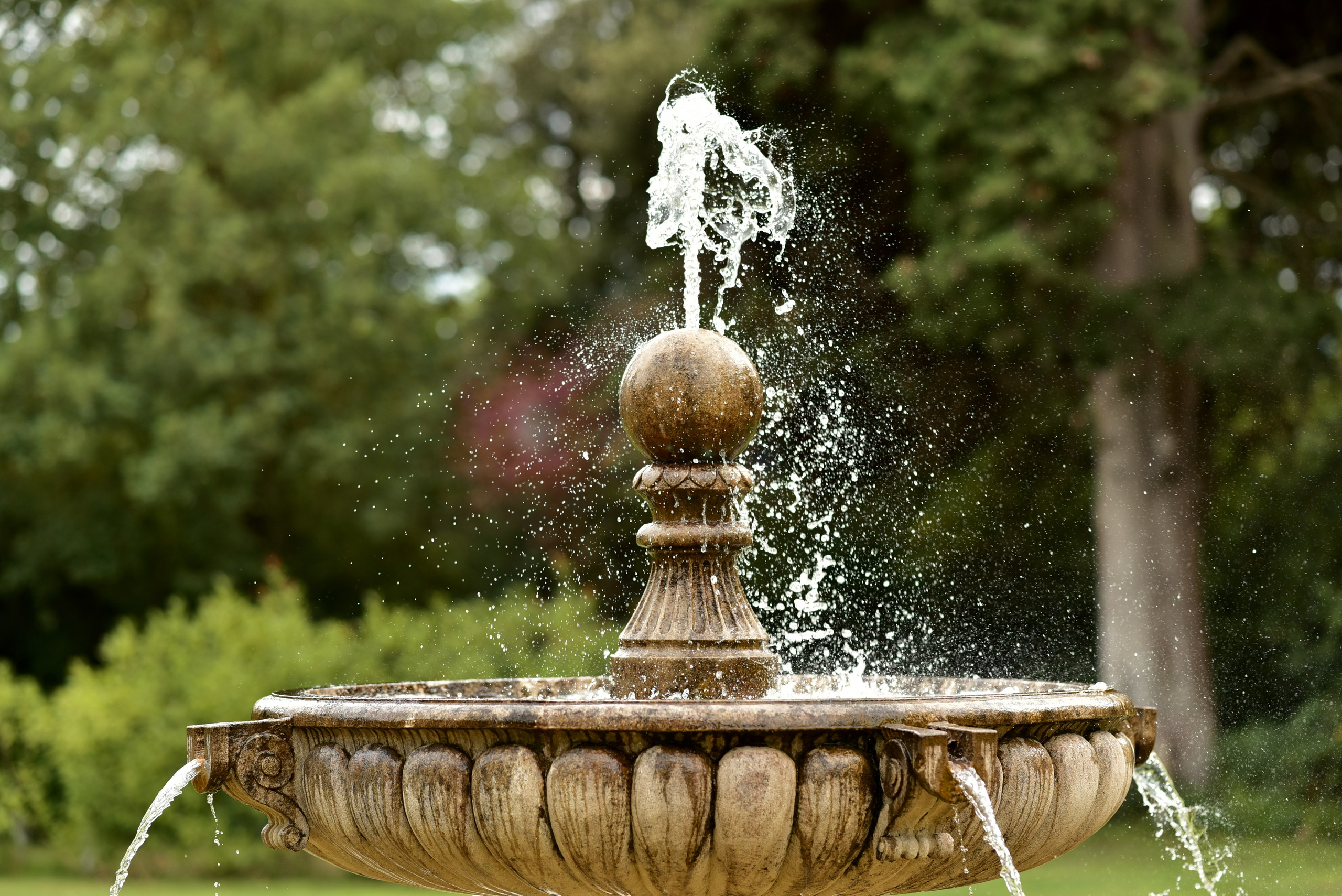 Photographe de mariage à Montpellier, vidéo de mariage avec drone,. Photographe Professionnel à Béziers et Montpellier – Mariages, Portraits et Vidéos Aériennes