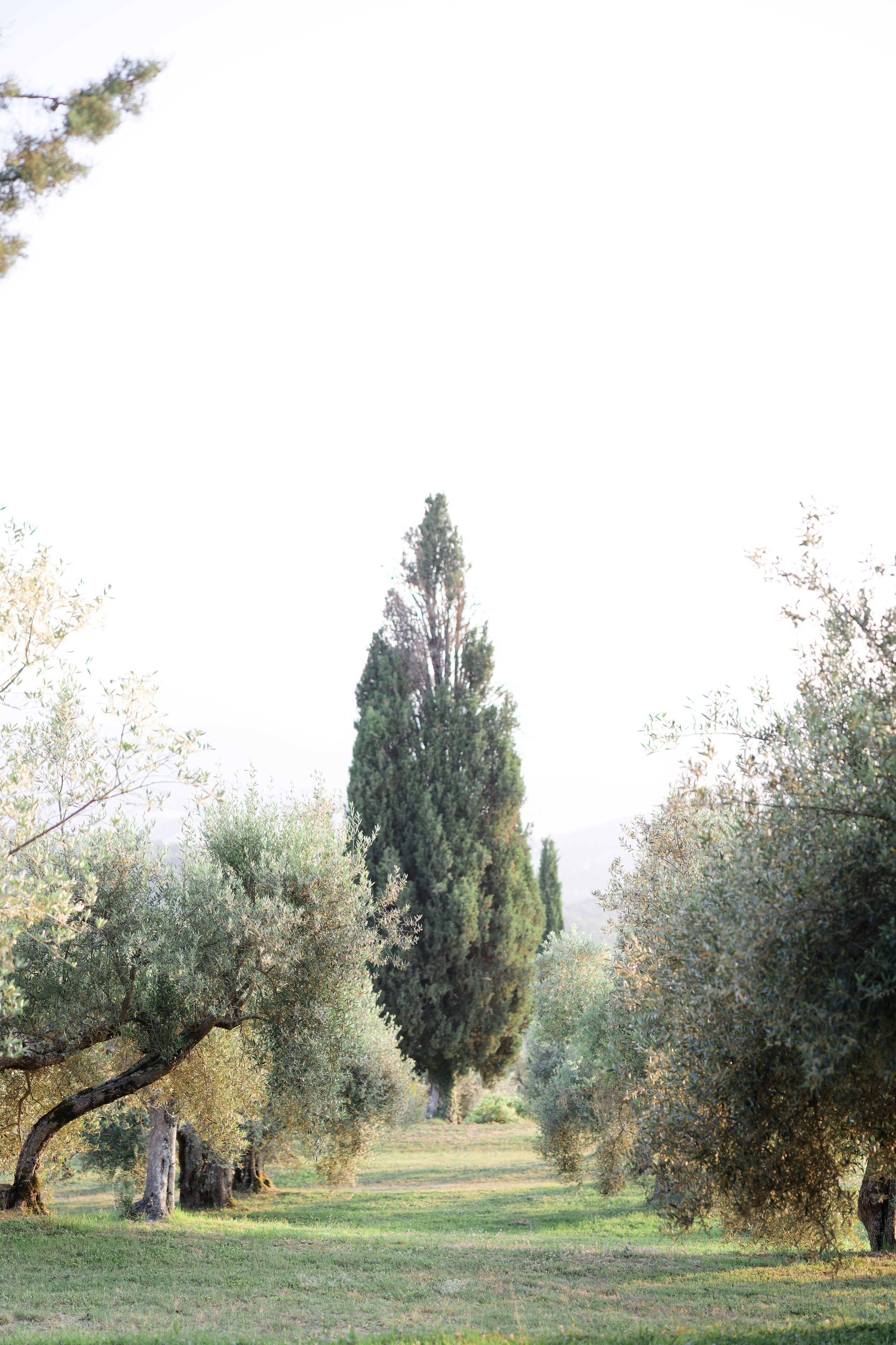 Wedding at Borgo Bastia Creti, Umbria Preview