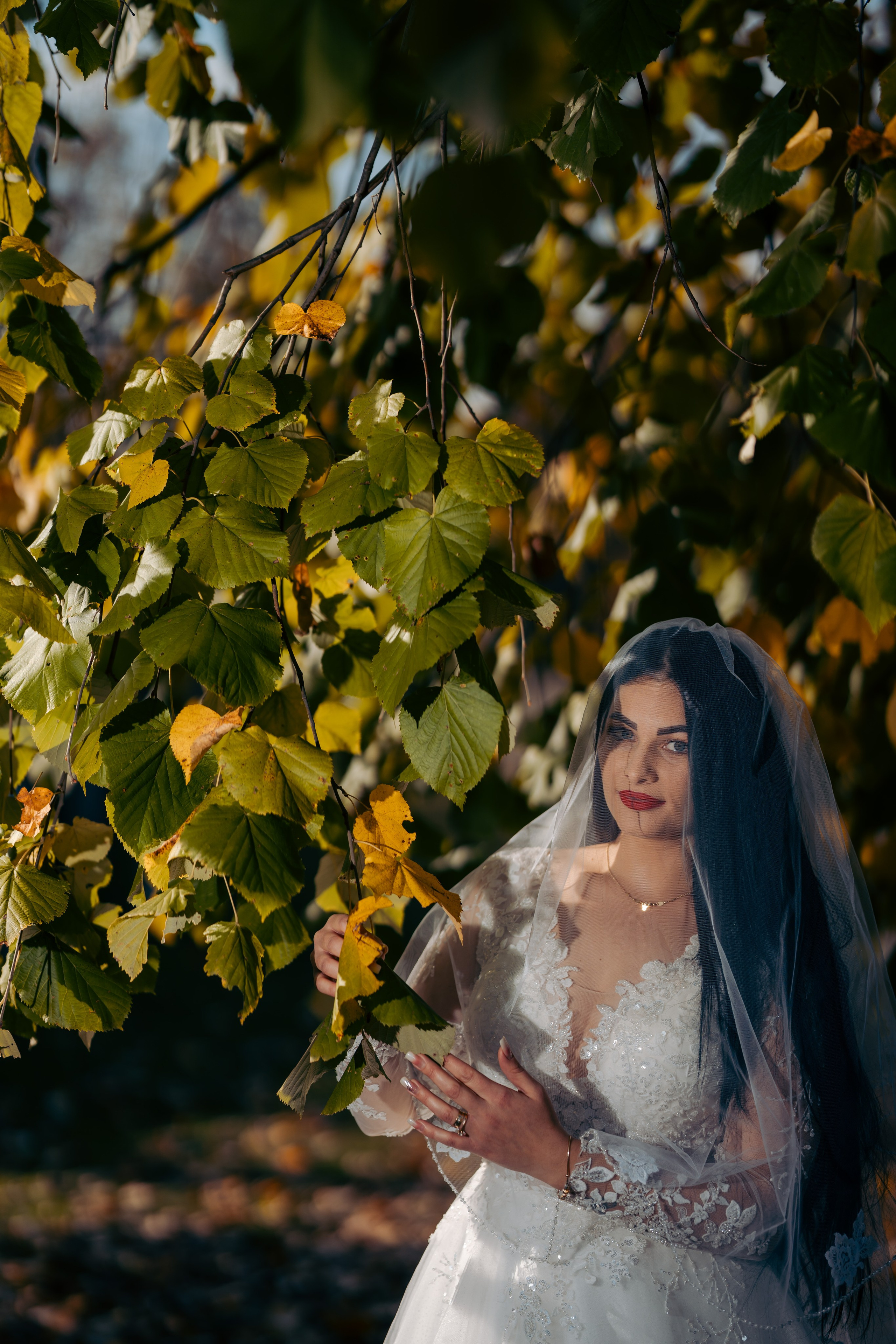 Andreea & Madalin. CC Photography \ Fotograf Profesionist \ Evenimente