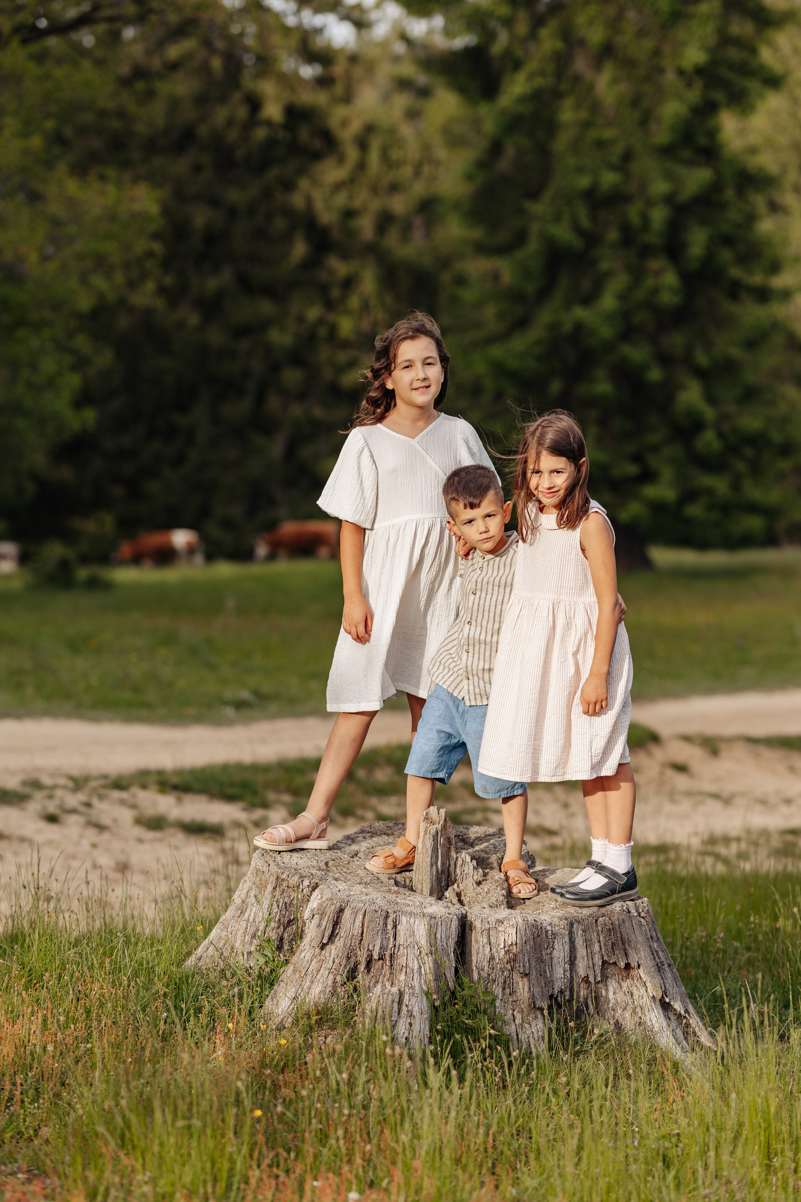 Familia Hudea. Cristina Andronache fotograf Brașov fotograf de familie fotograf de nunta Brașov