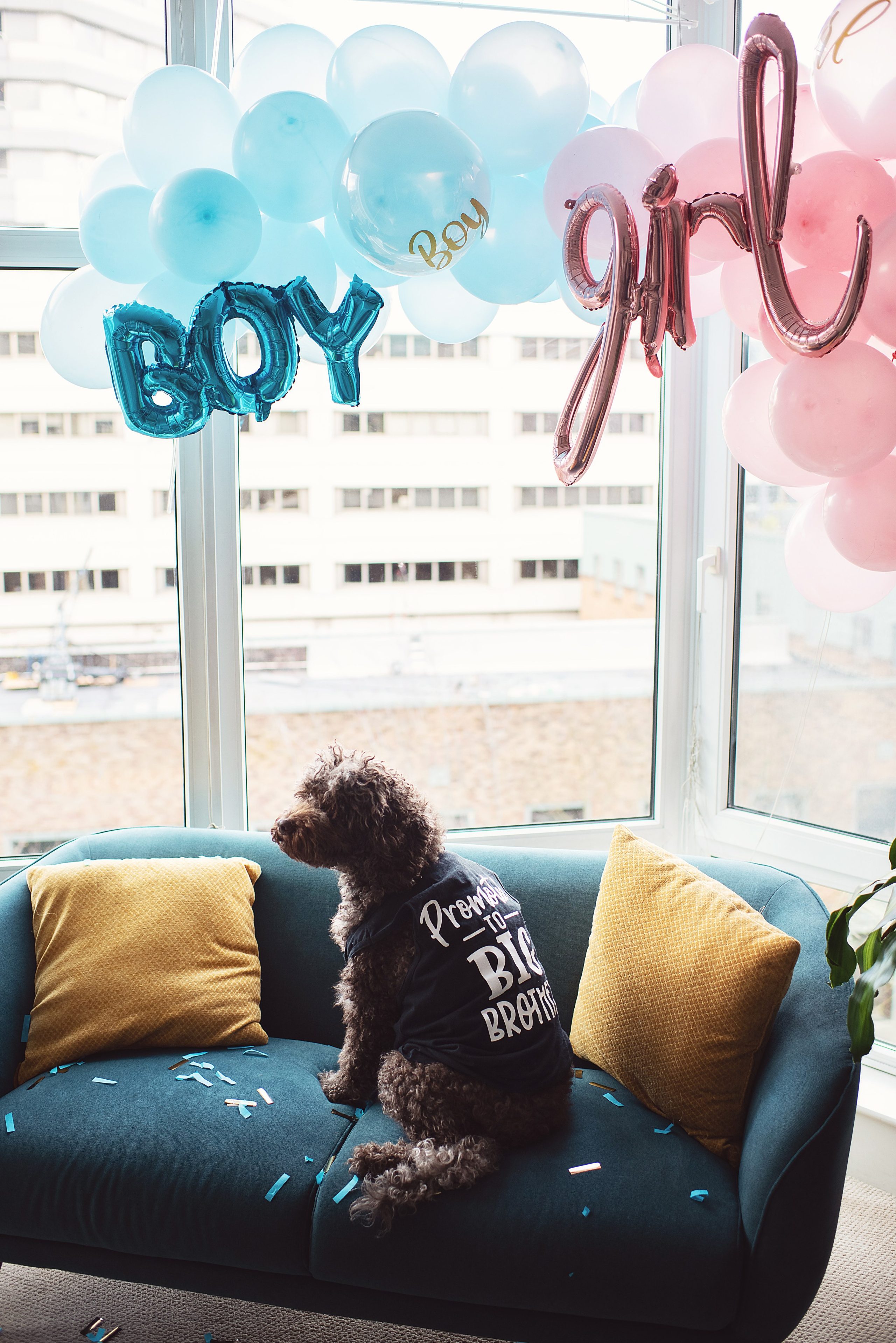 Boy or girl. Newborn, pregnancy, family photographer in New Jersey