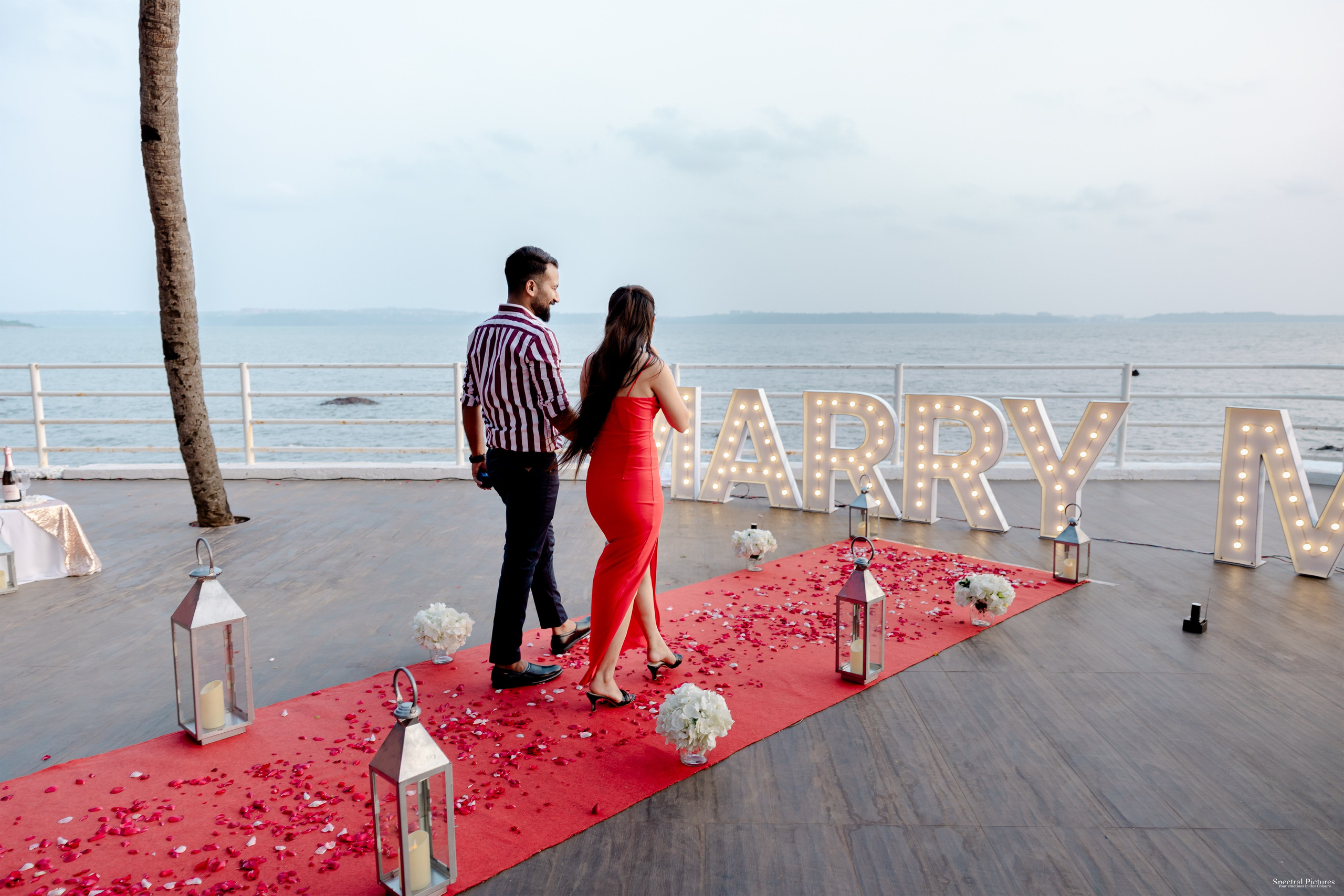 Purva & Tarun | Proposal