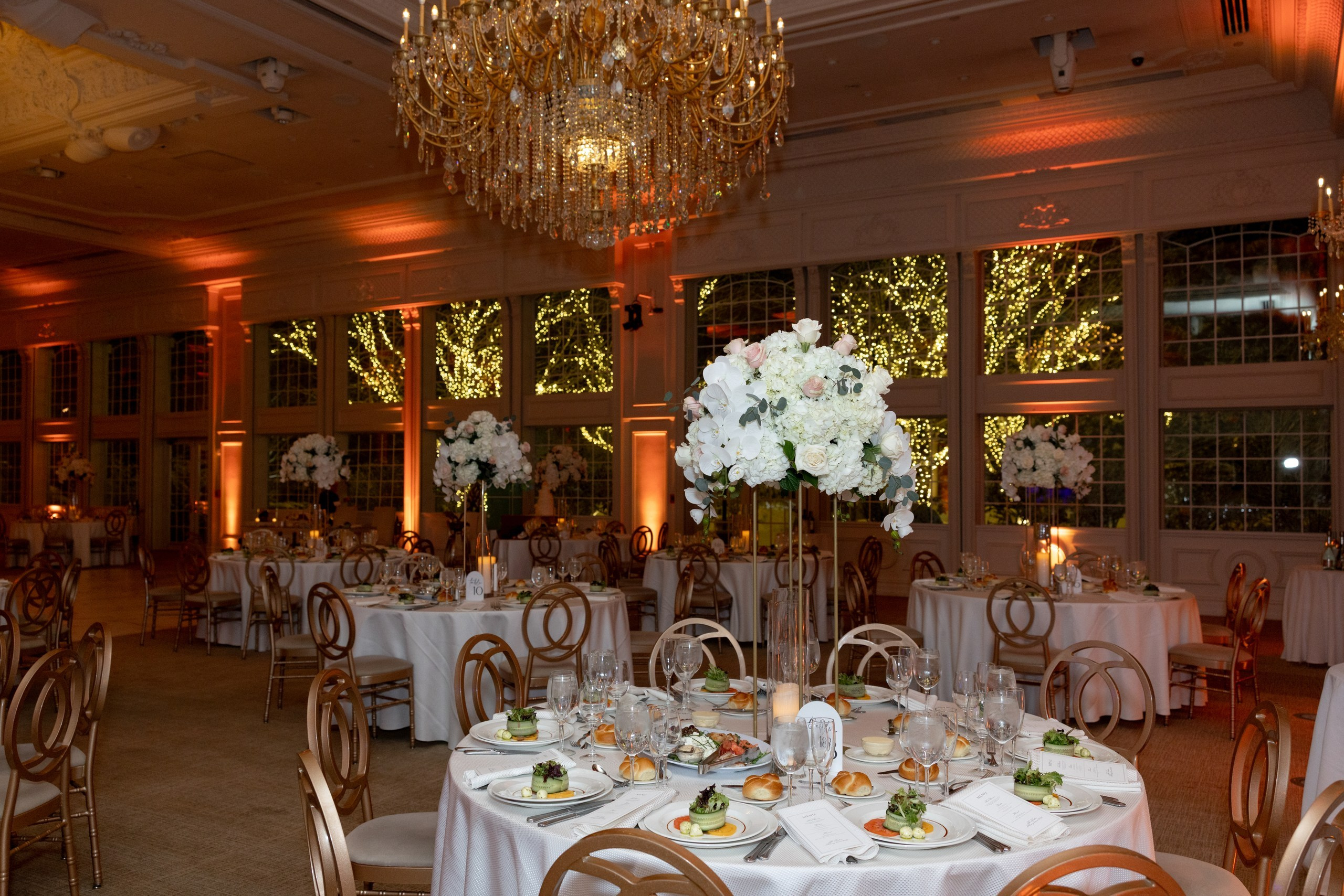 Isabel & Ross, Florentine Gardens. Wedding Photo & Video