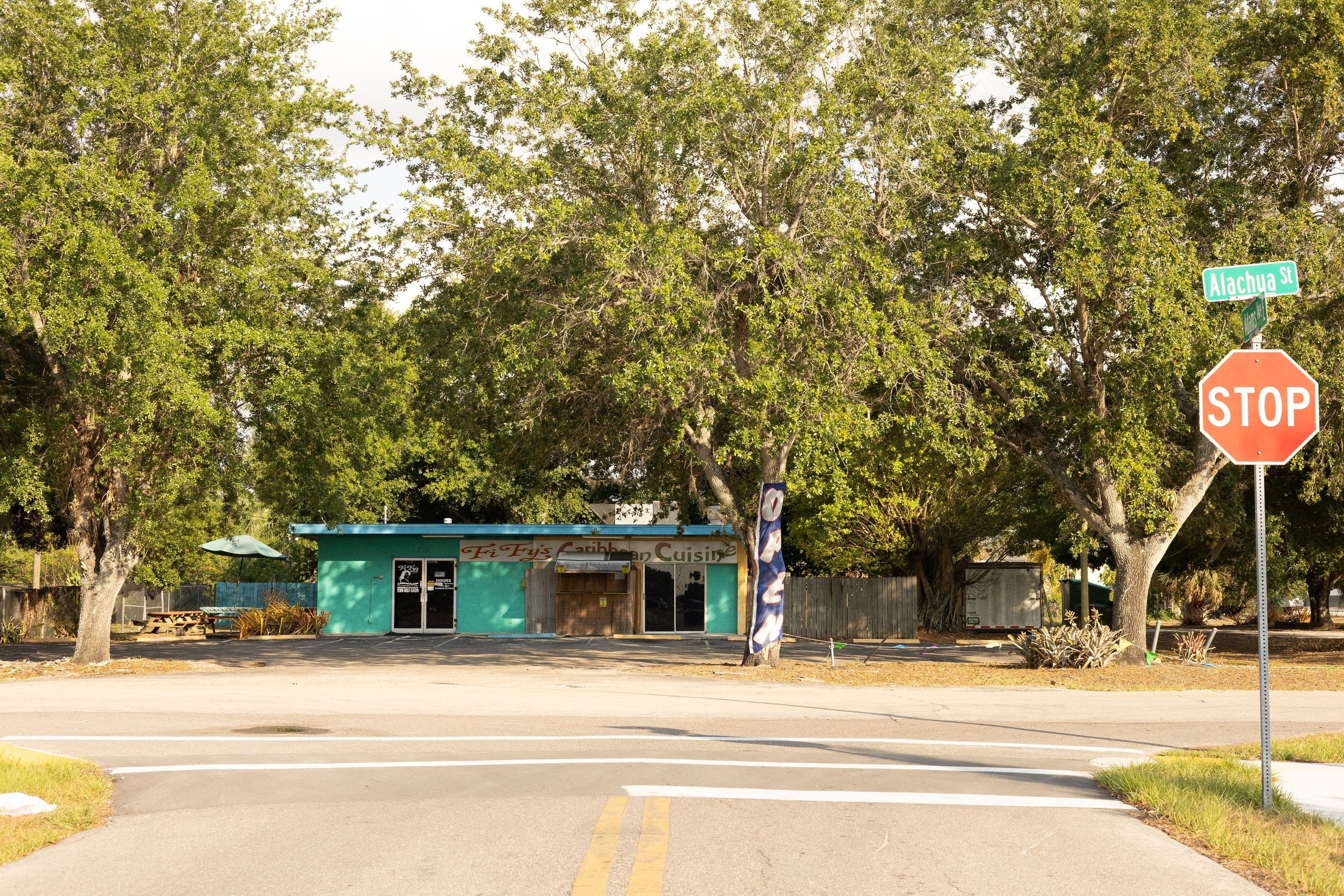 Americana — Immokolee. Out and About 239