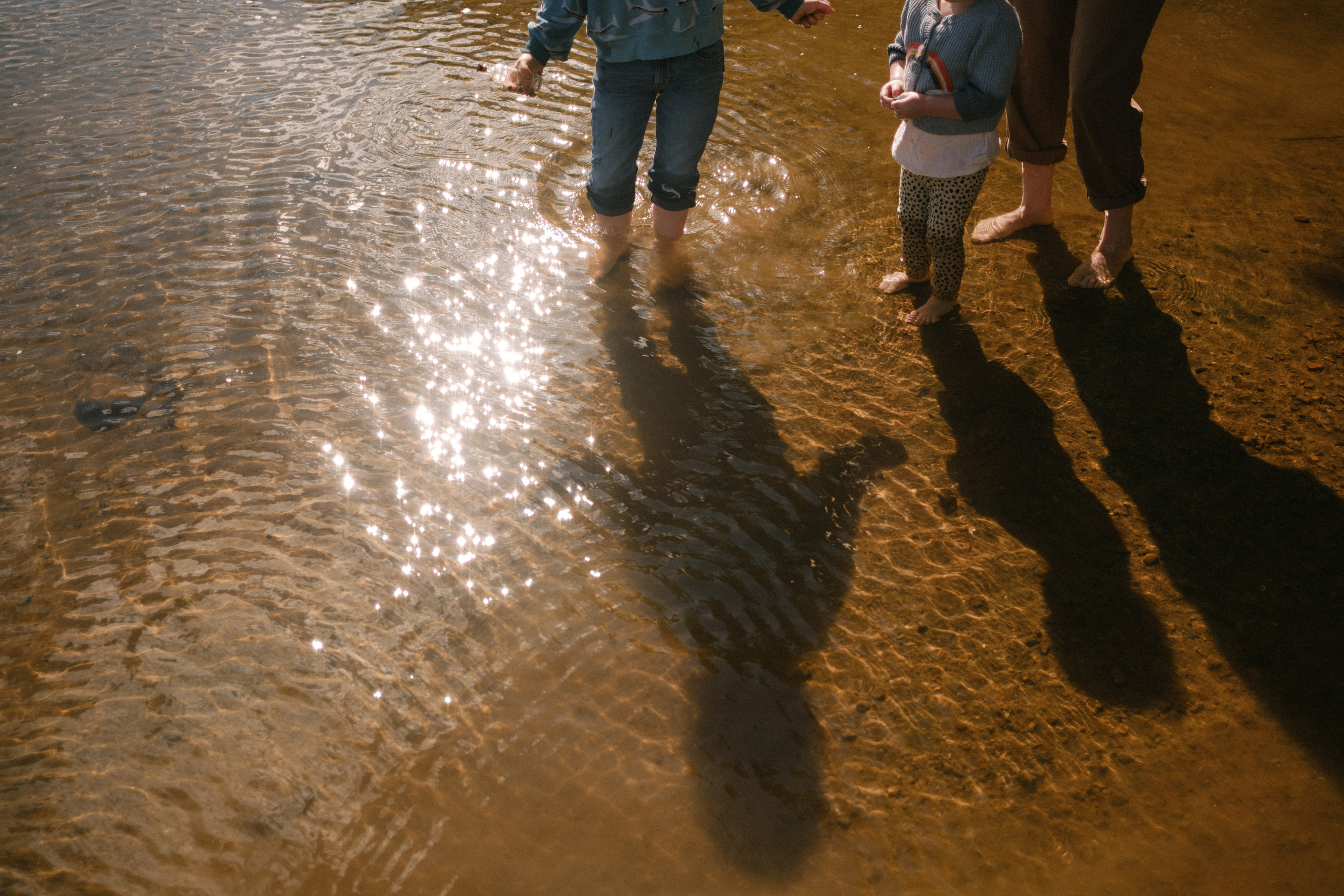 A wide documentary photo showing a family exploring the natural shoreline and green river grass at Pony Pasture
