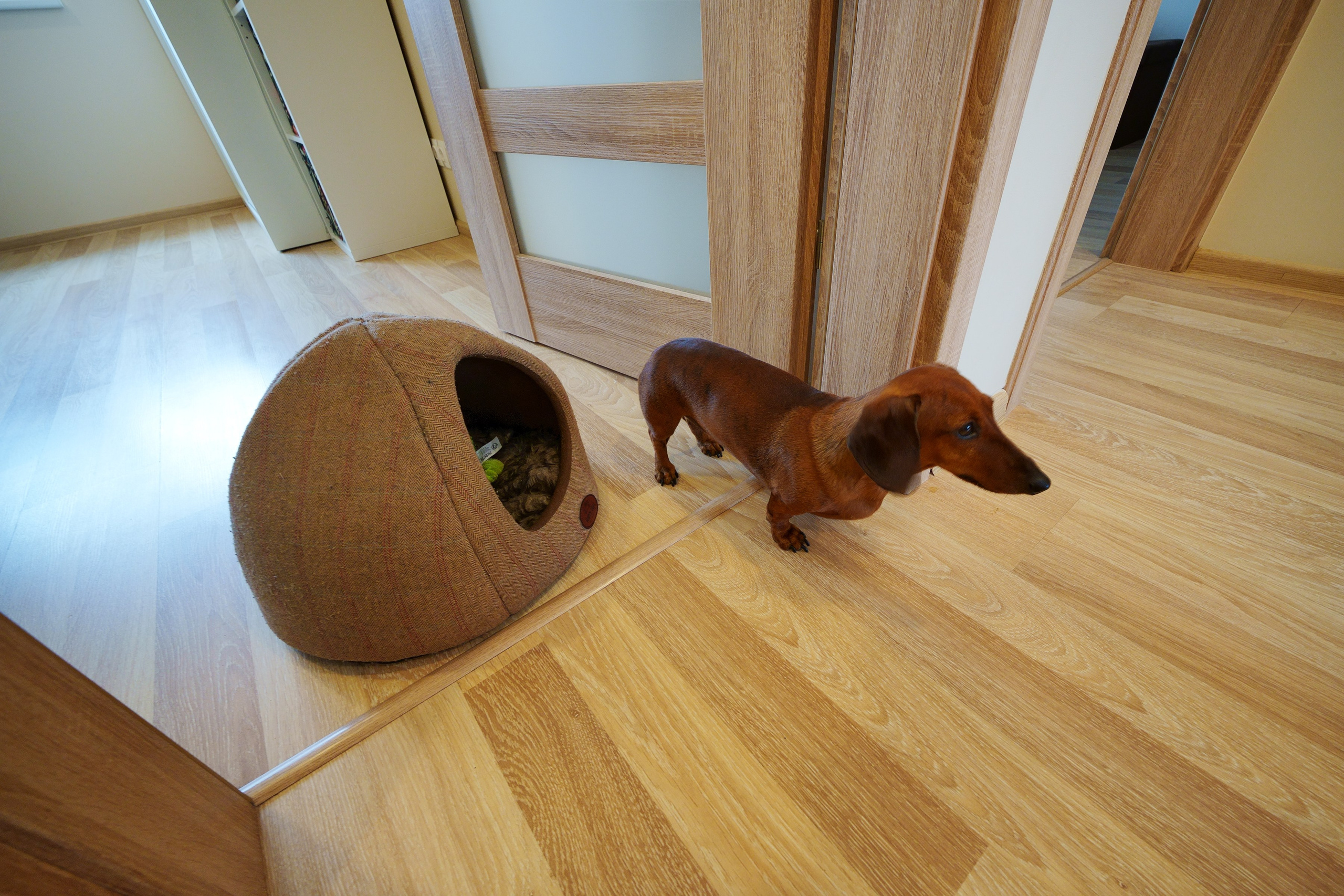 Tarandė. Elina Sapiega fotografė Vilniuje