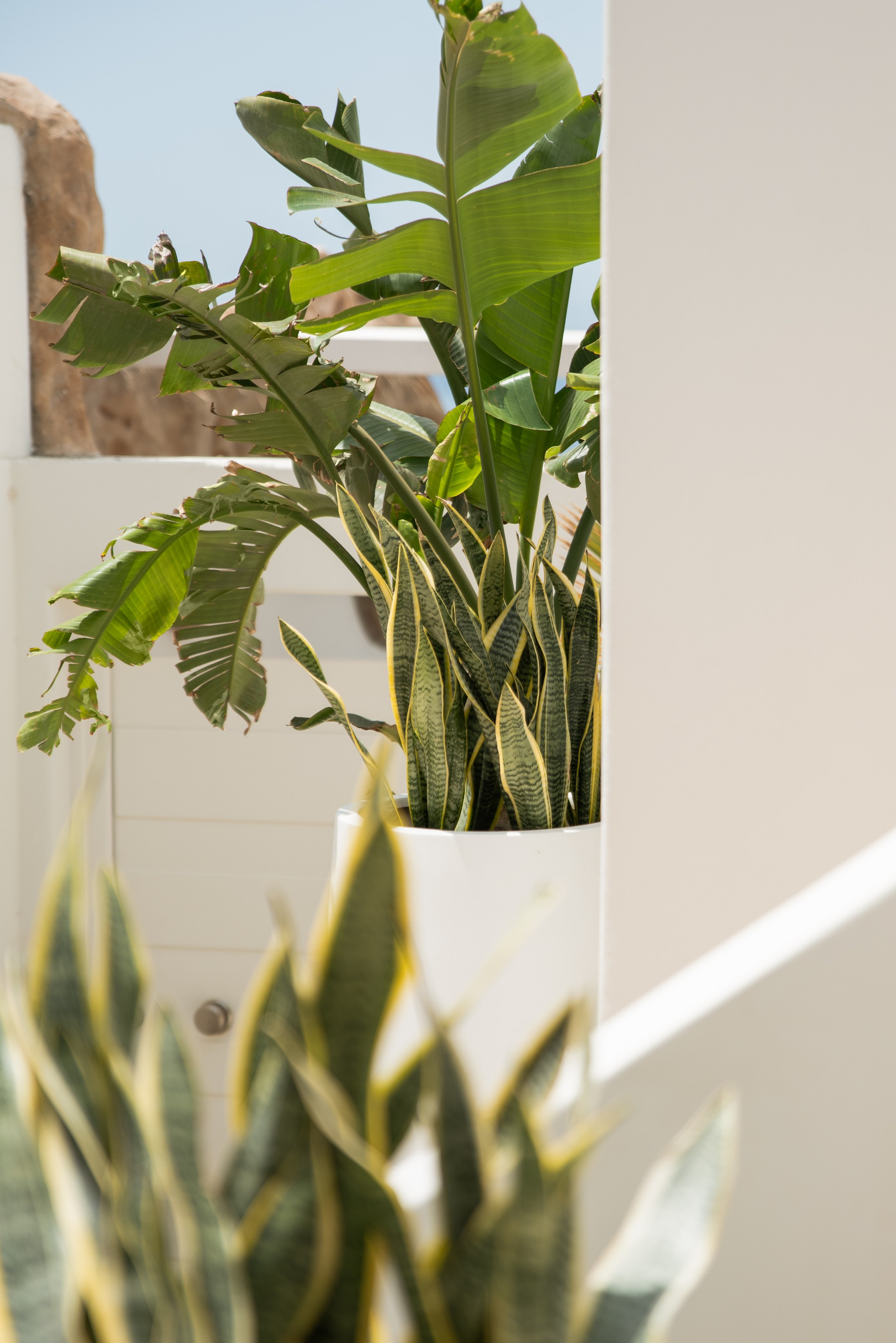 Boutique Hotel & Lifestyle ~ Numi Mykonos. Hotel Photographer Greece | George Katsaelis | sketch.gr