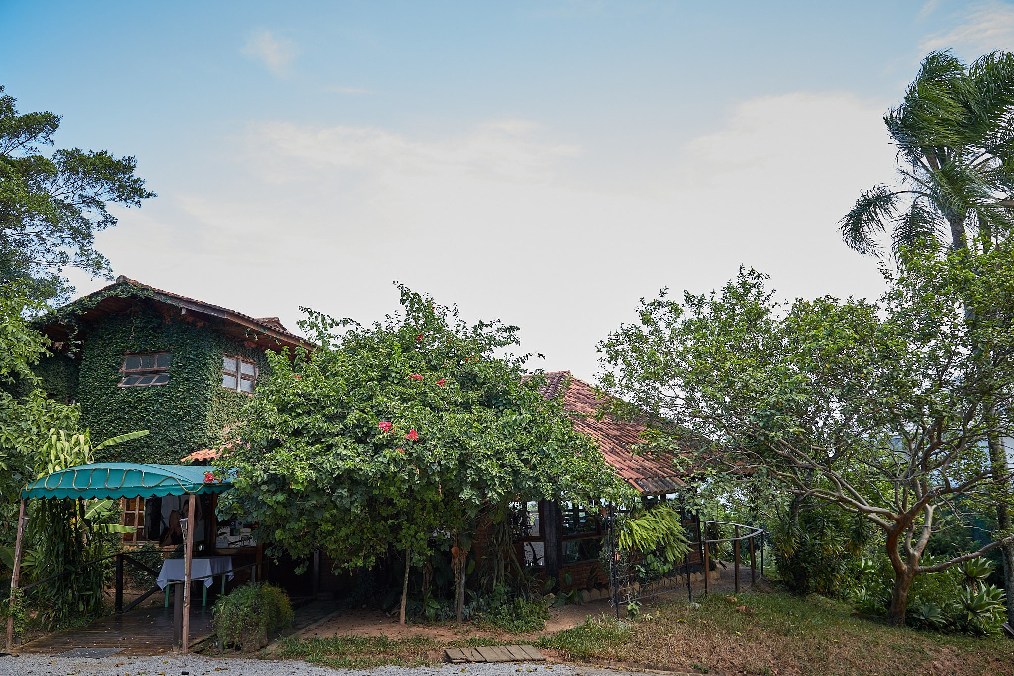Casamento Francieli e João. Fotógrafo de casamentos em Florianópolis
