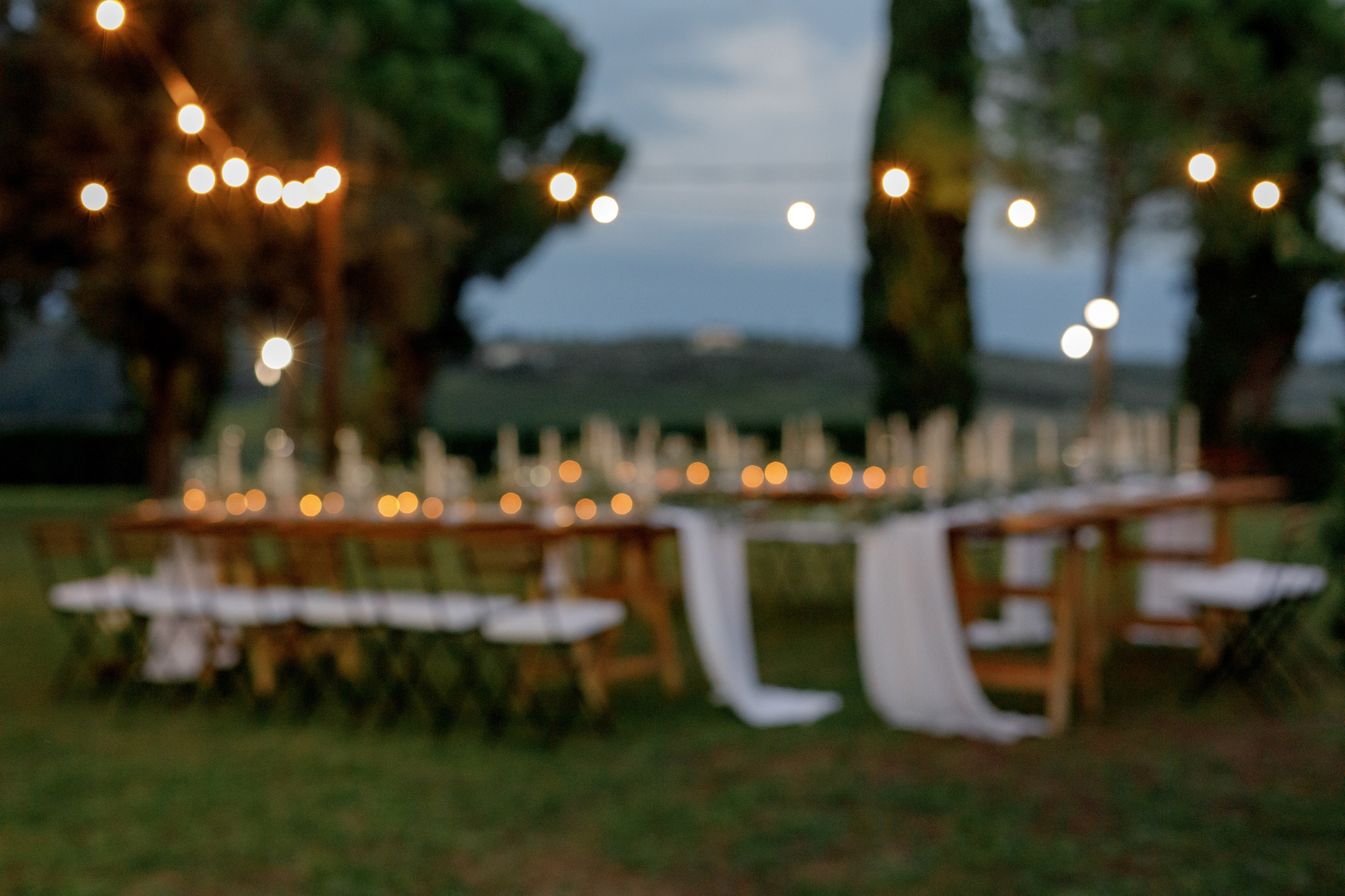 Dom&Ally. Весільний фотограф Вікторія Саврук