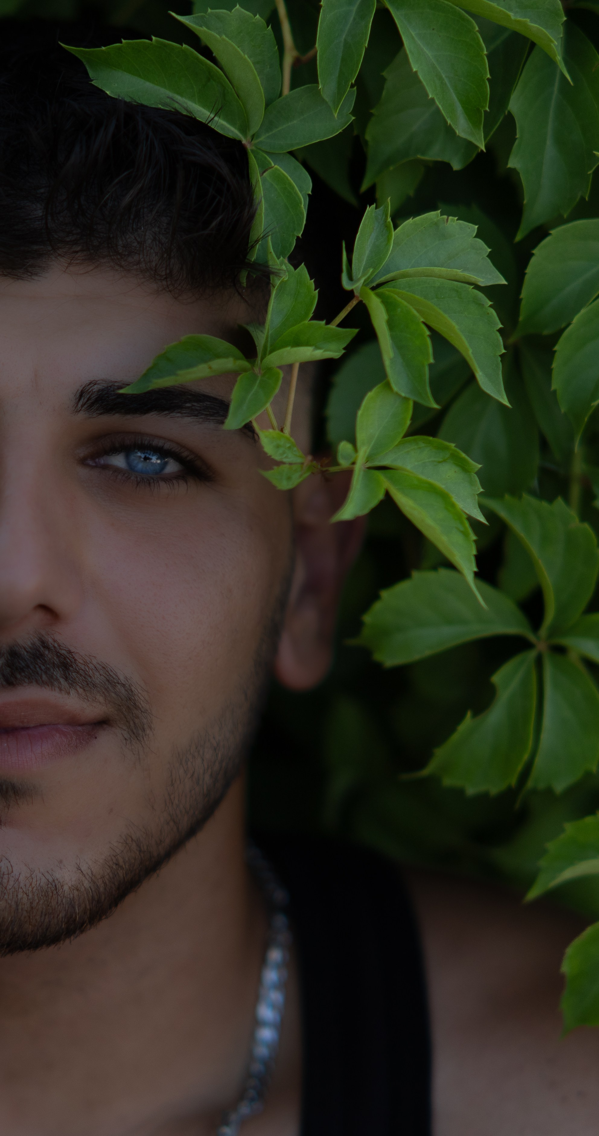 The Way I See | Visual Stories & Atmosphere