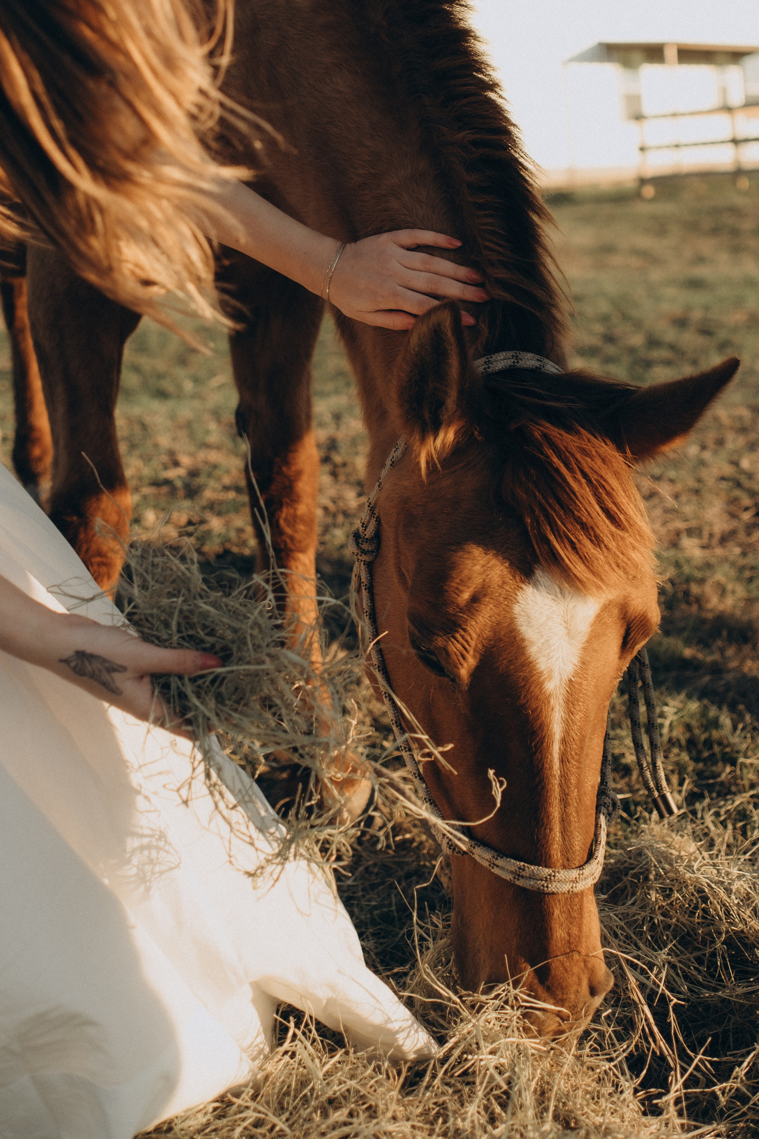 Mommy to Be. Lens Captures Life