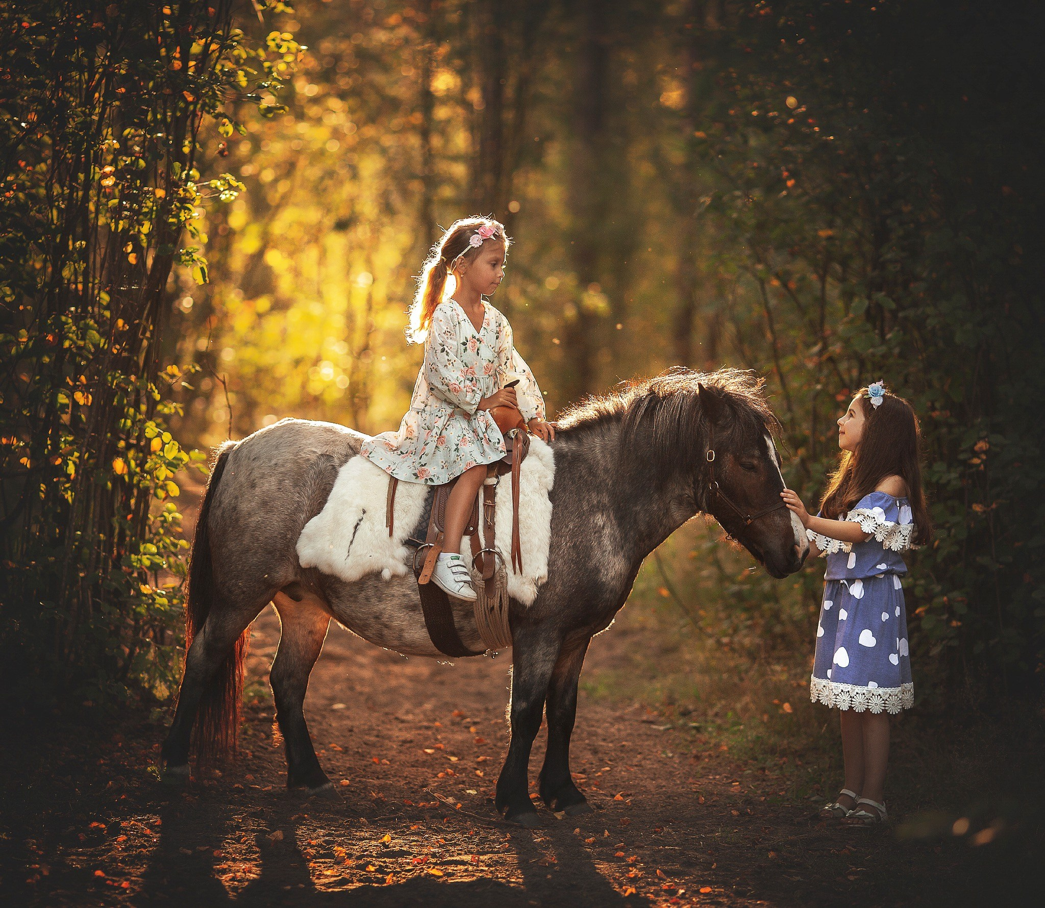 Kids Arts. Alla Semchenko — Photography Gran Canaria, Art / Family / Kids / Video & Photo Books