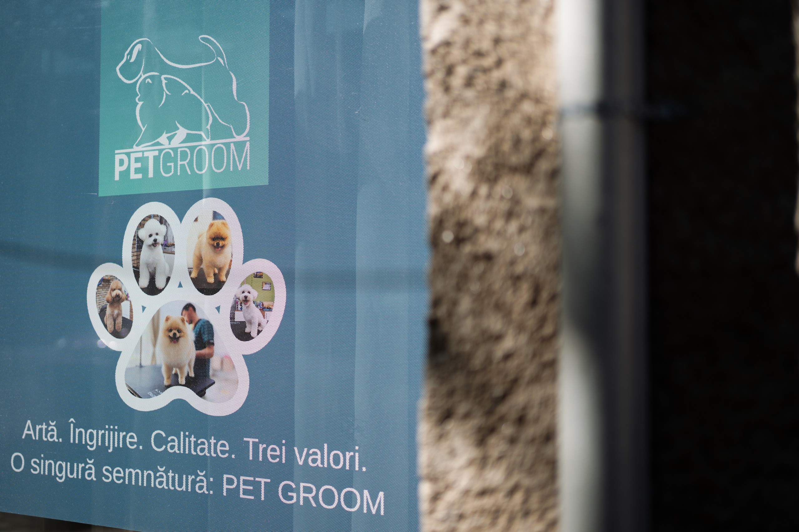 PetGroom Timisoara. Cozac Cristian Photographer