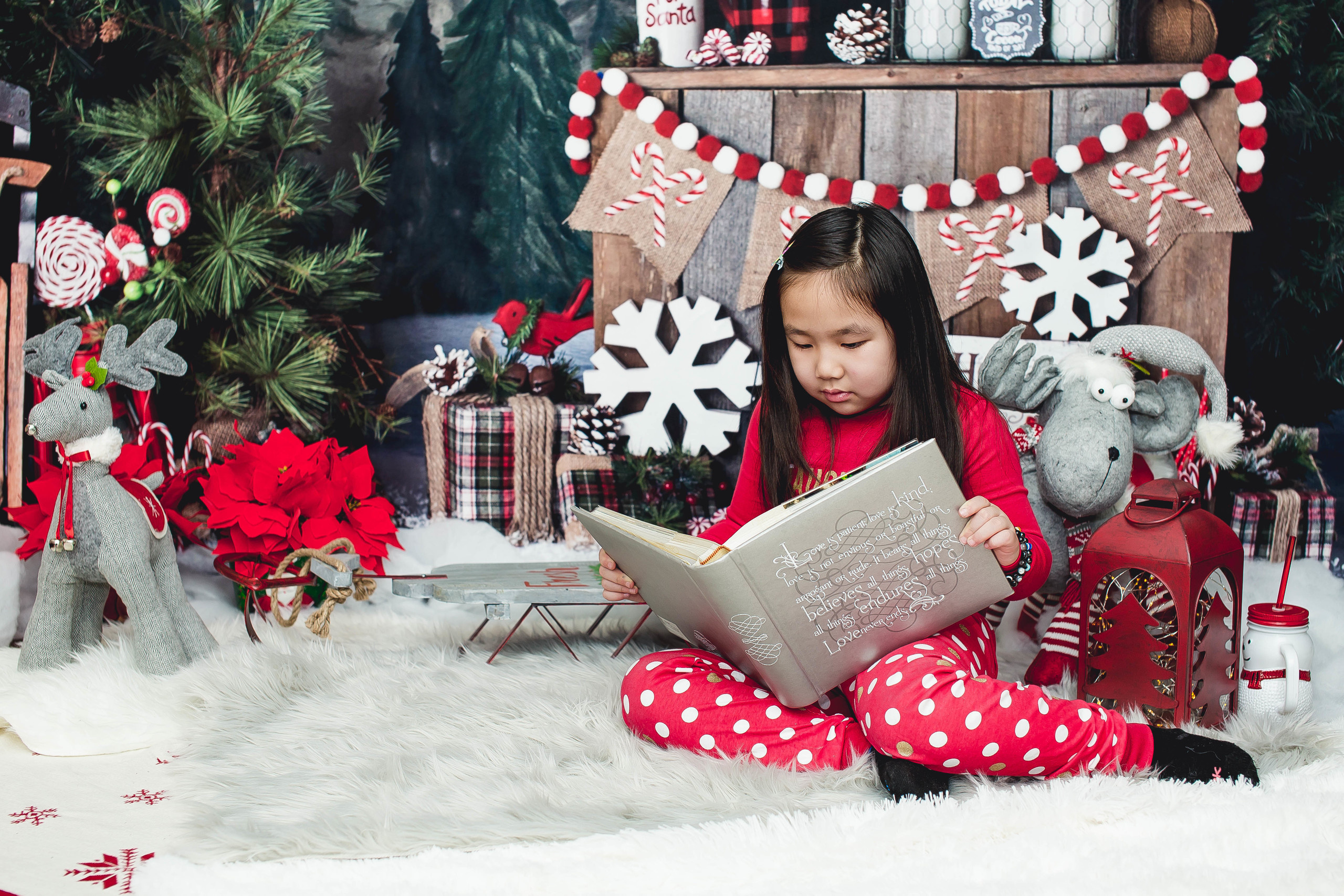 New Year. Photographer New-York