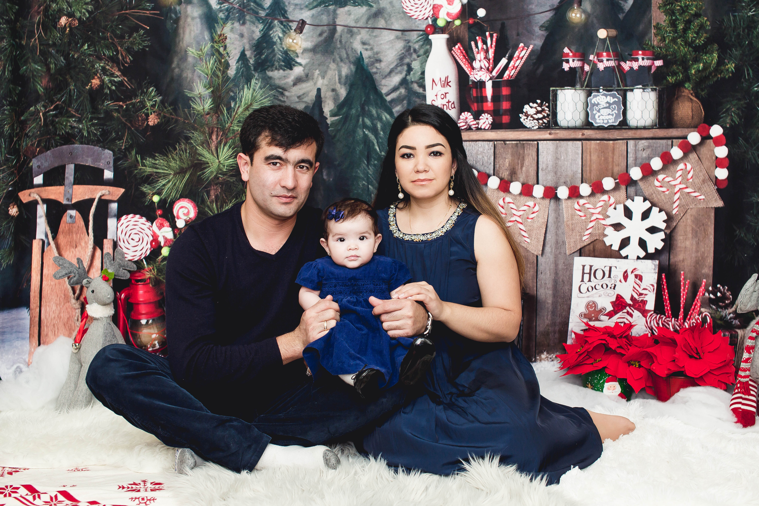 New Year. Photographer New-York