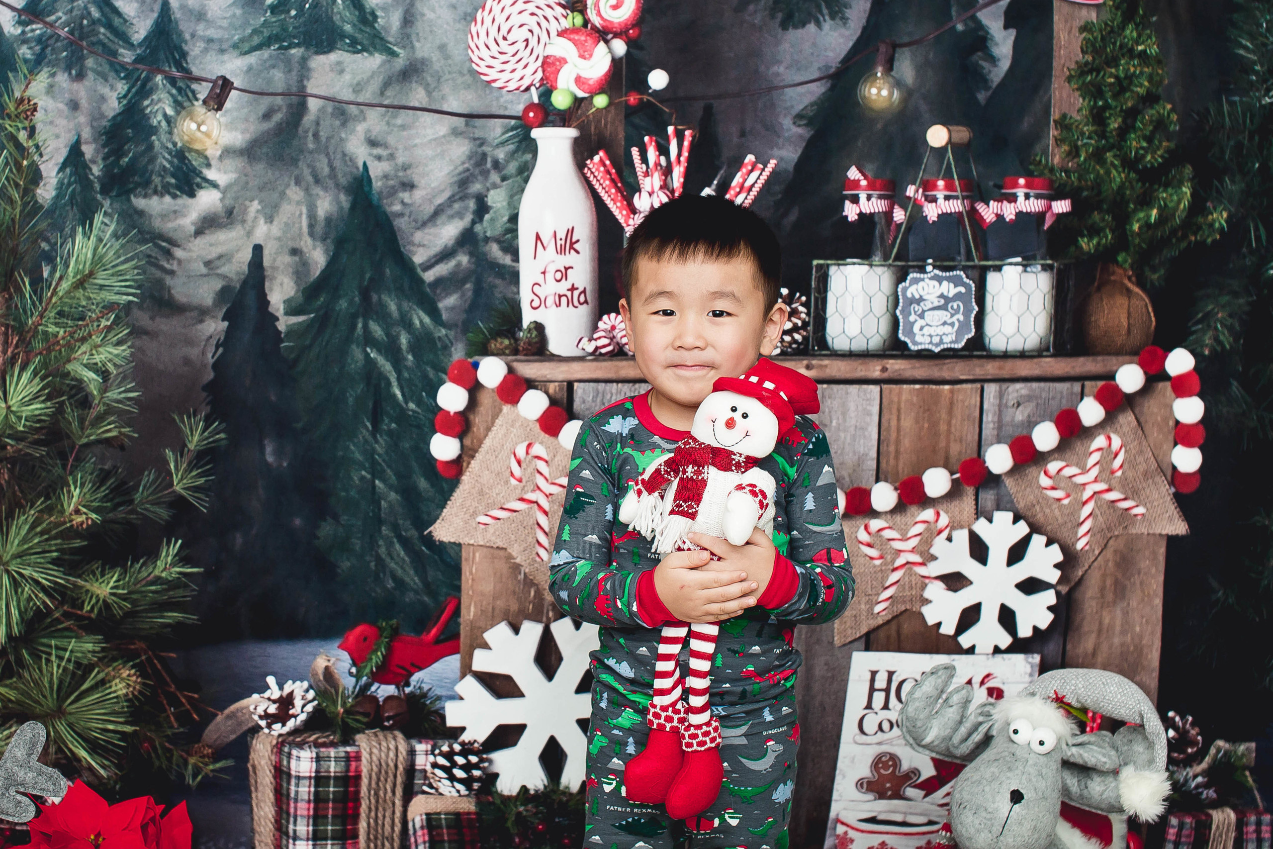 New Year. Photographer New-York