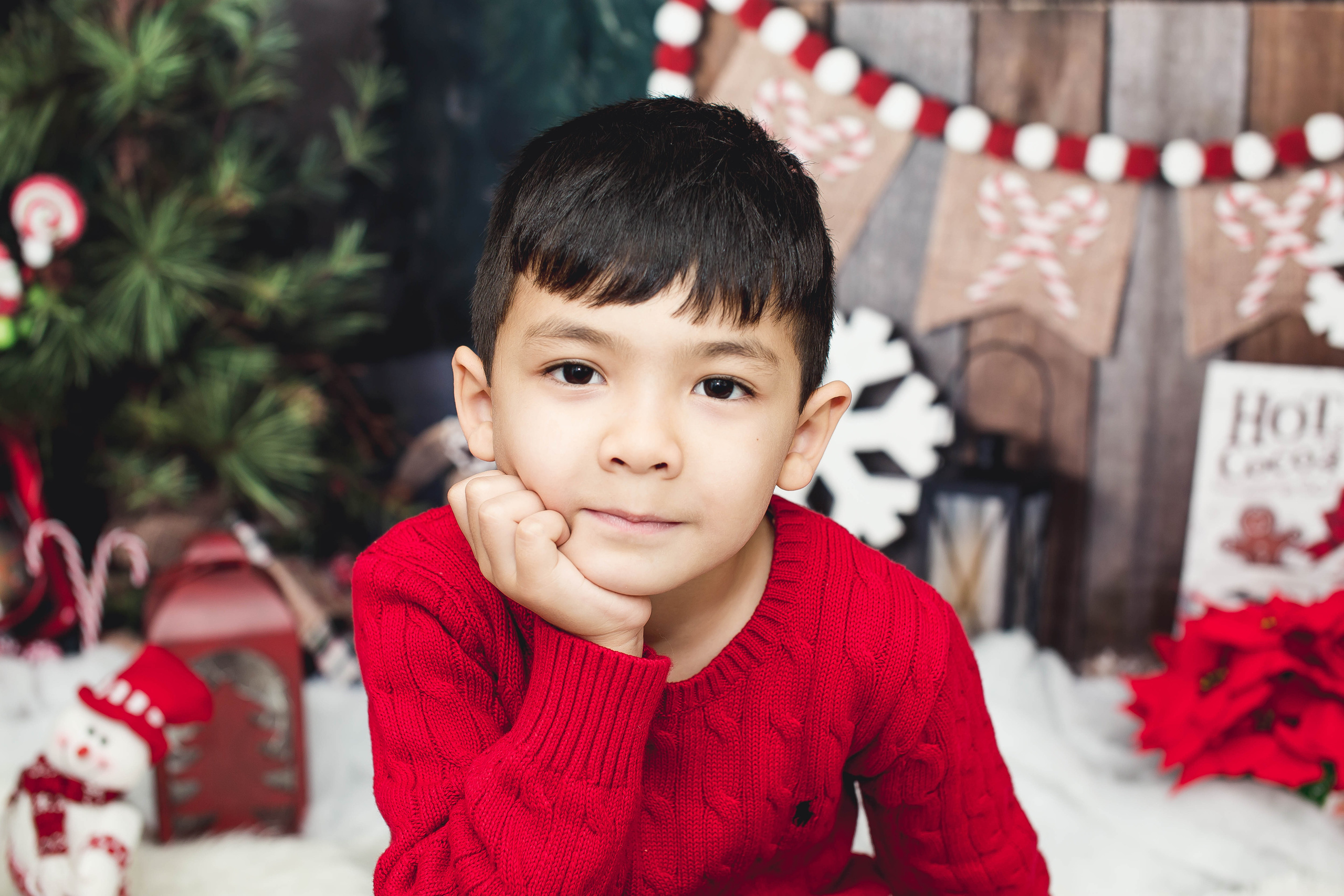 New Year. Photographer New-York