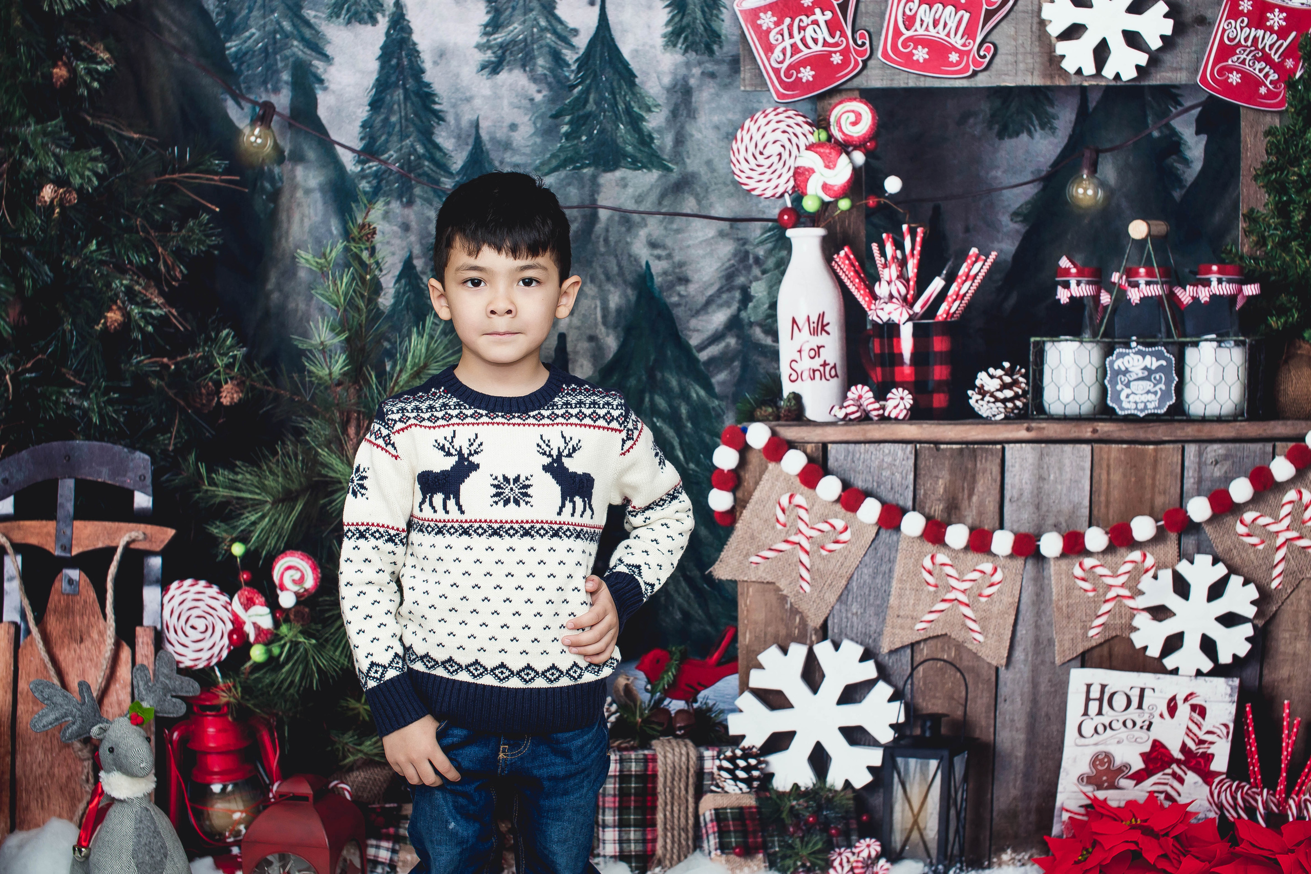 New Year. Photographer New-York