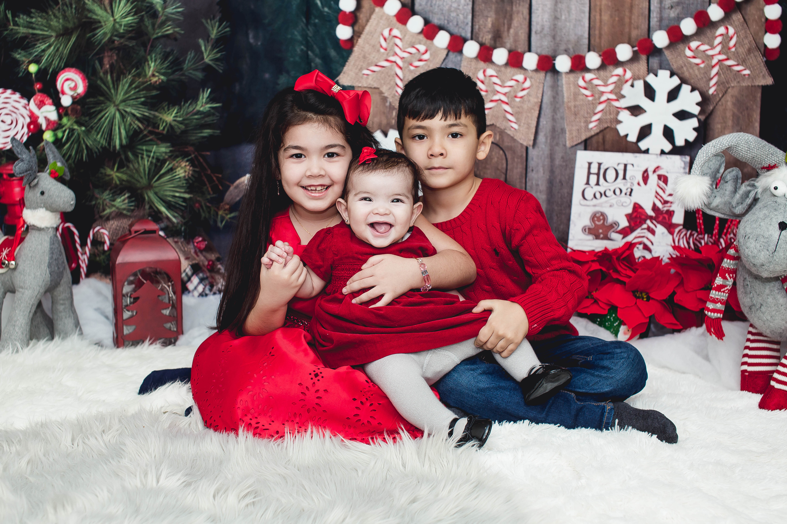 New Year. Photographer New-York