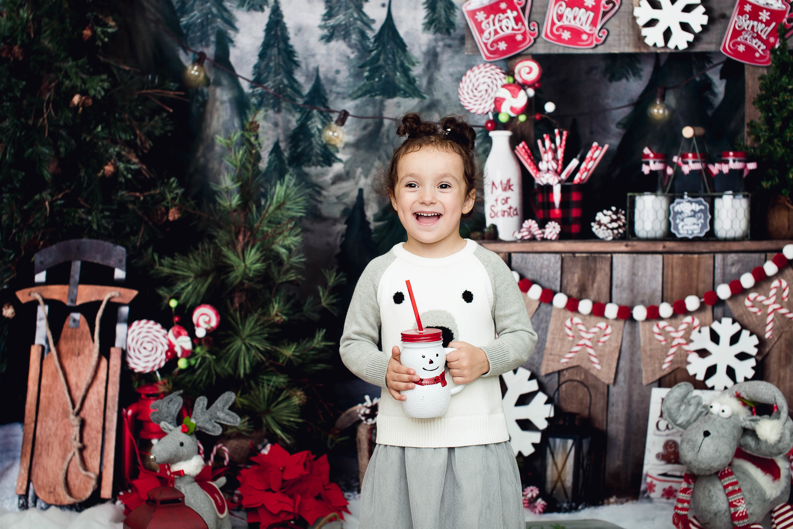 New Year. Photographer New-York