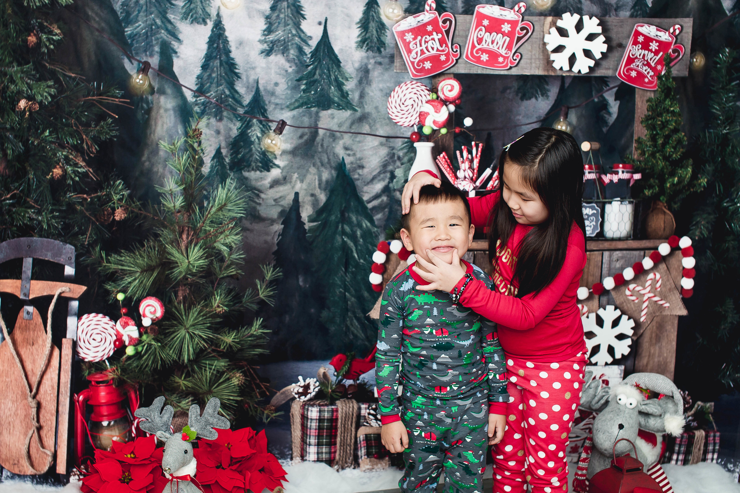 New Year. Photographer New-York