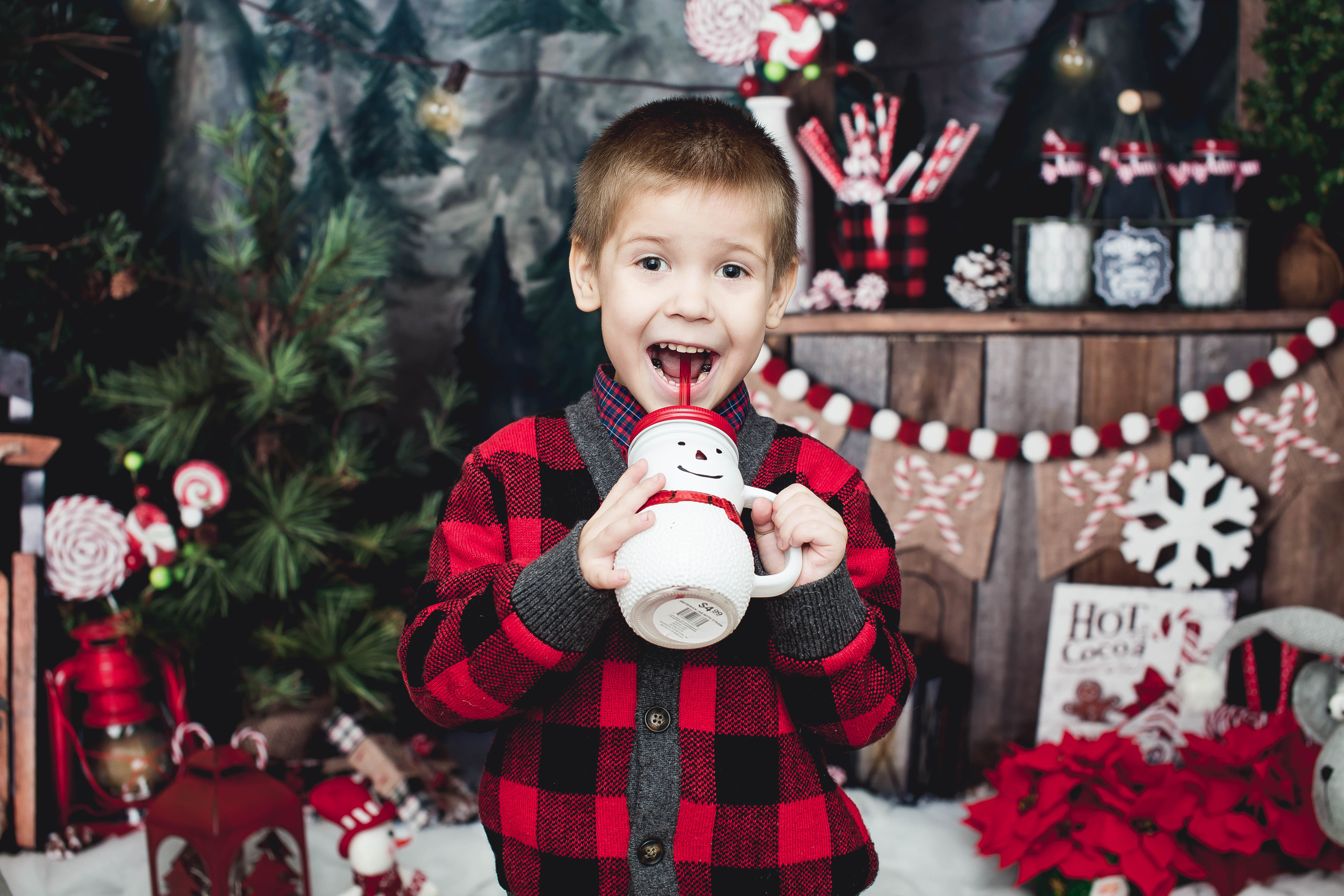 New Year. Photographer New-York