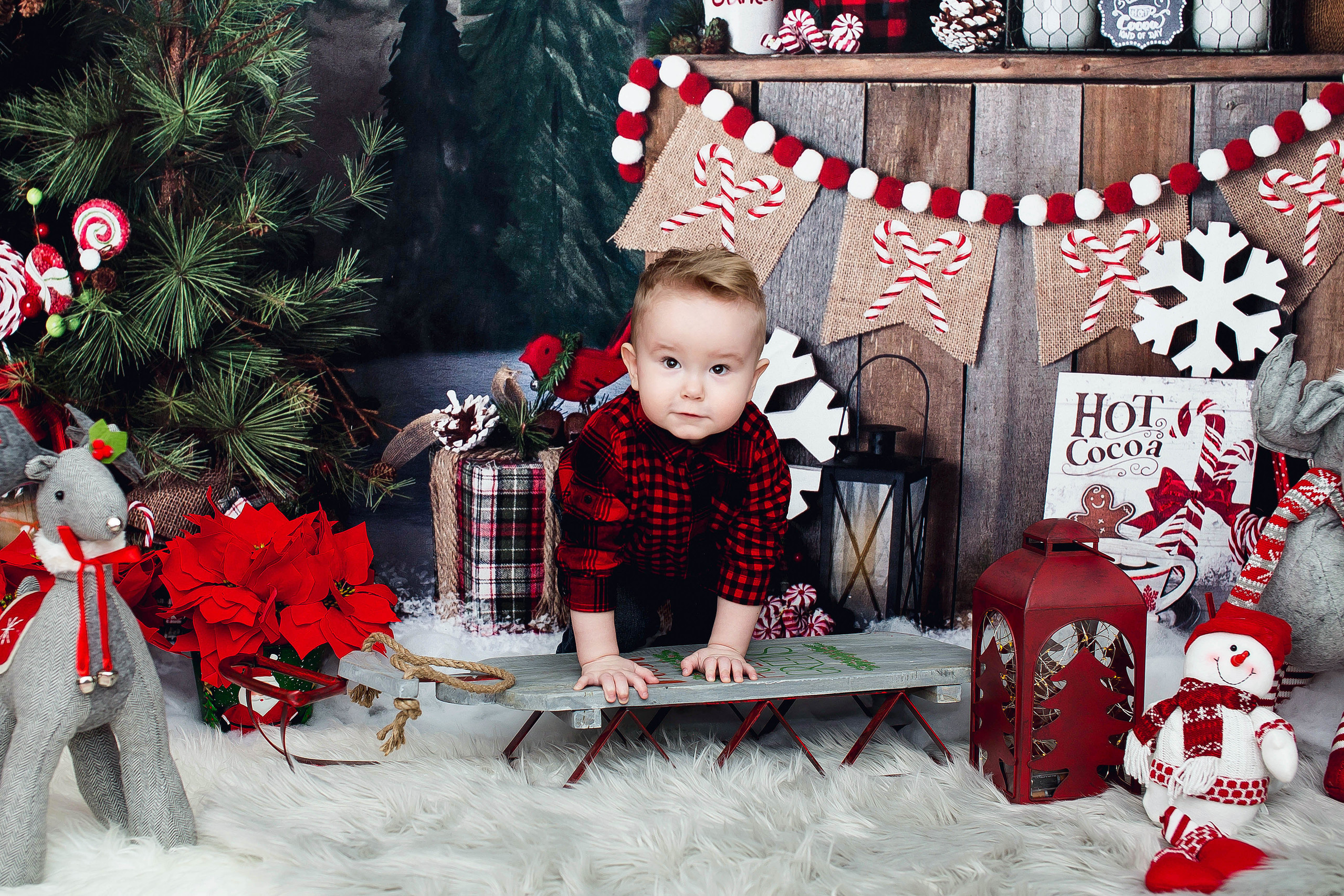 New Year. Photographer New-York