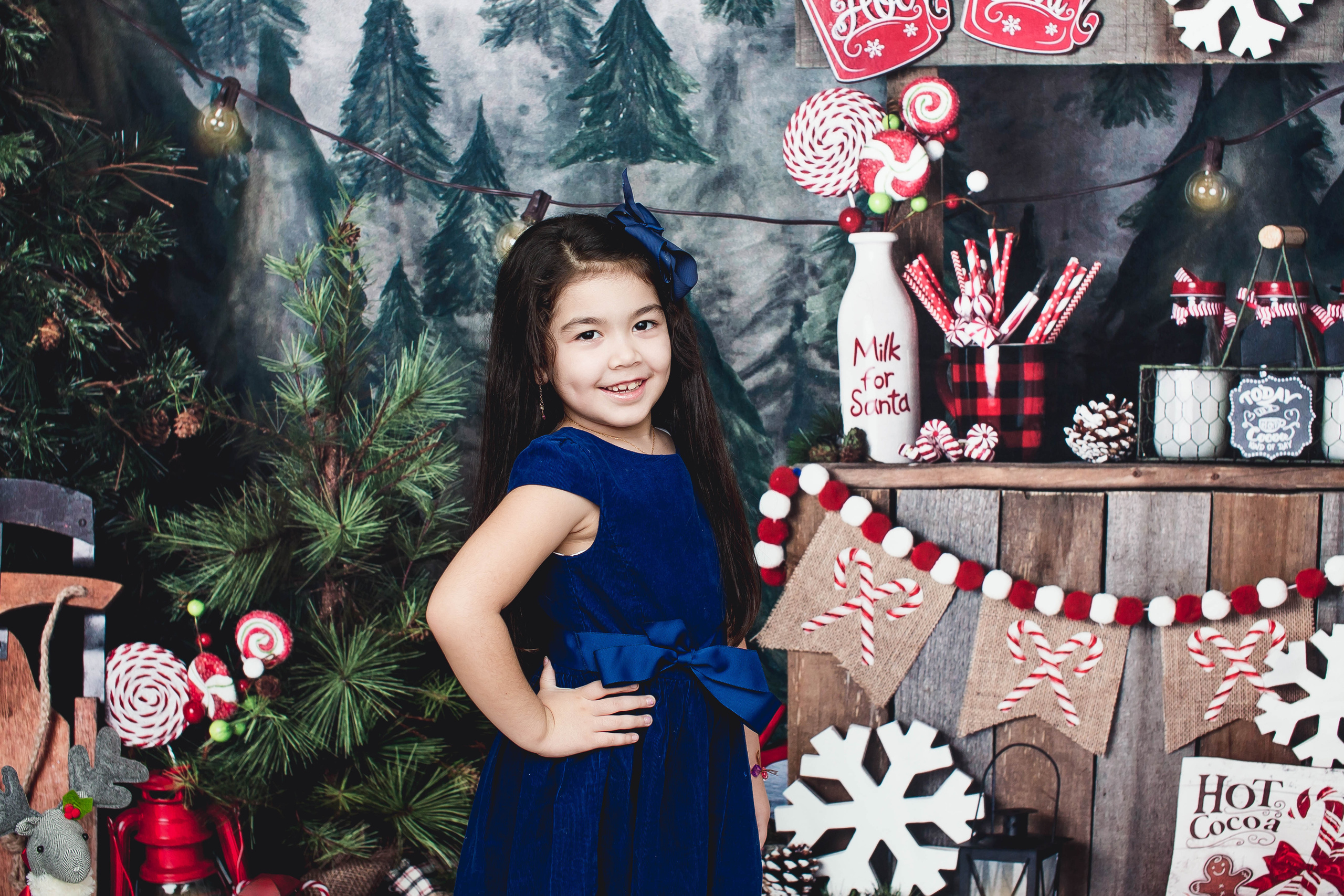 New Year. Photographer New-York