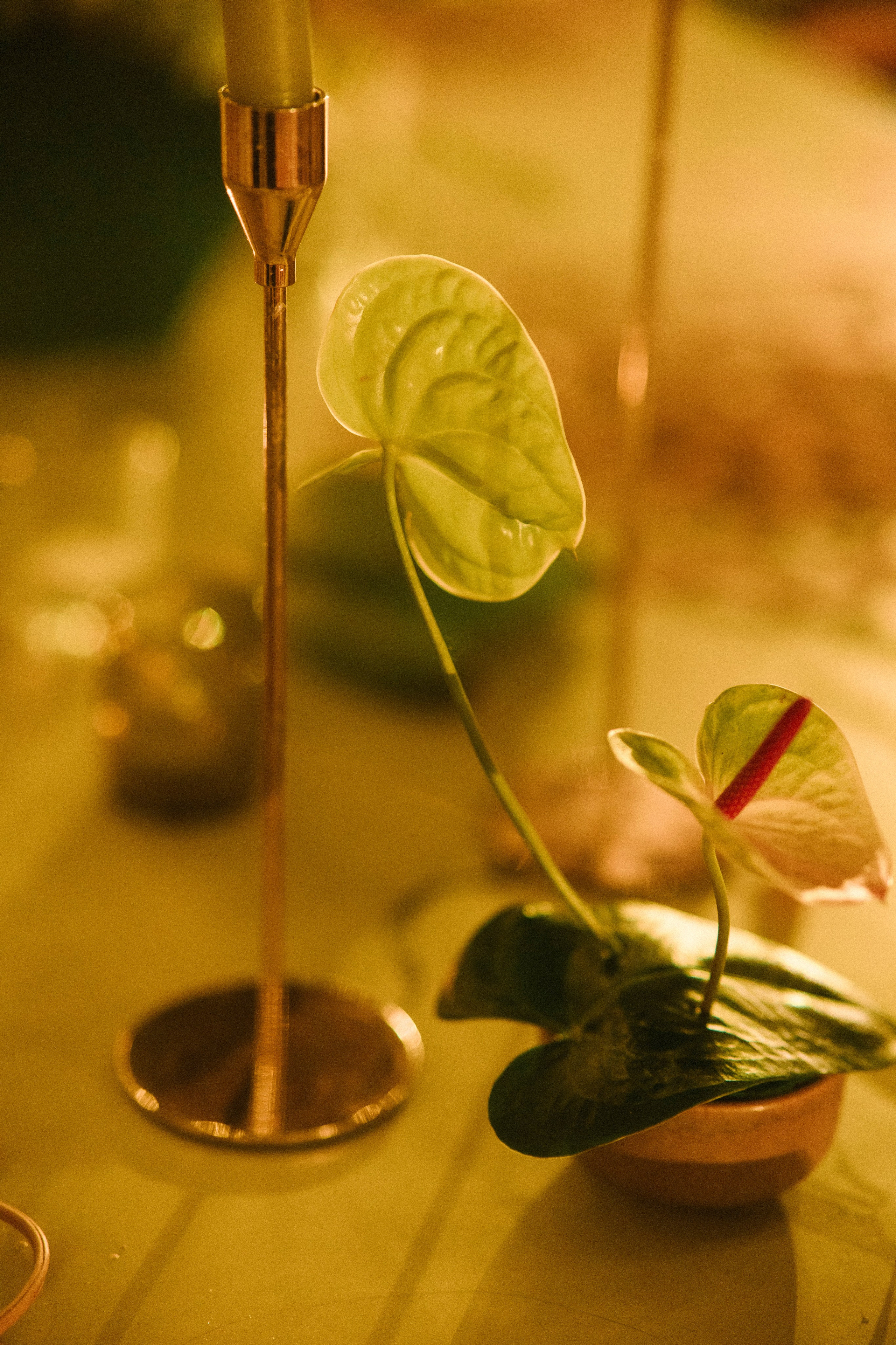 Four Seasons, Punta de Mita, Mexico. Wedding photographer Mexico Sayulita Puerto Vallarta Punta Mita Cabo