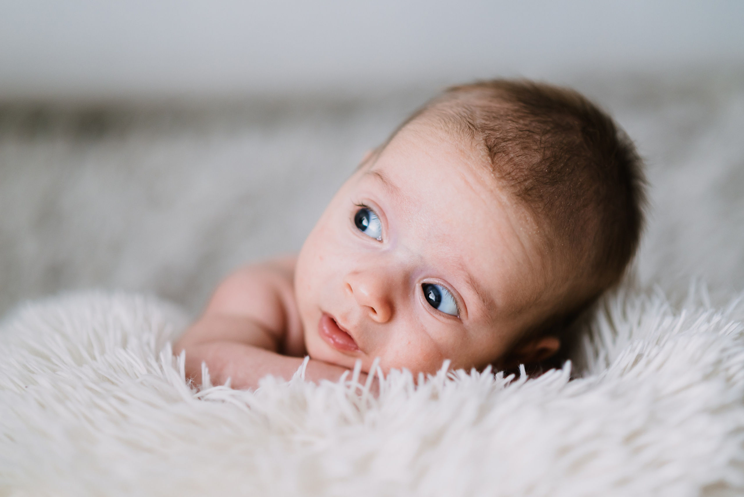 Teodor Mihai. Giani Maftei